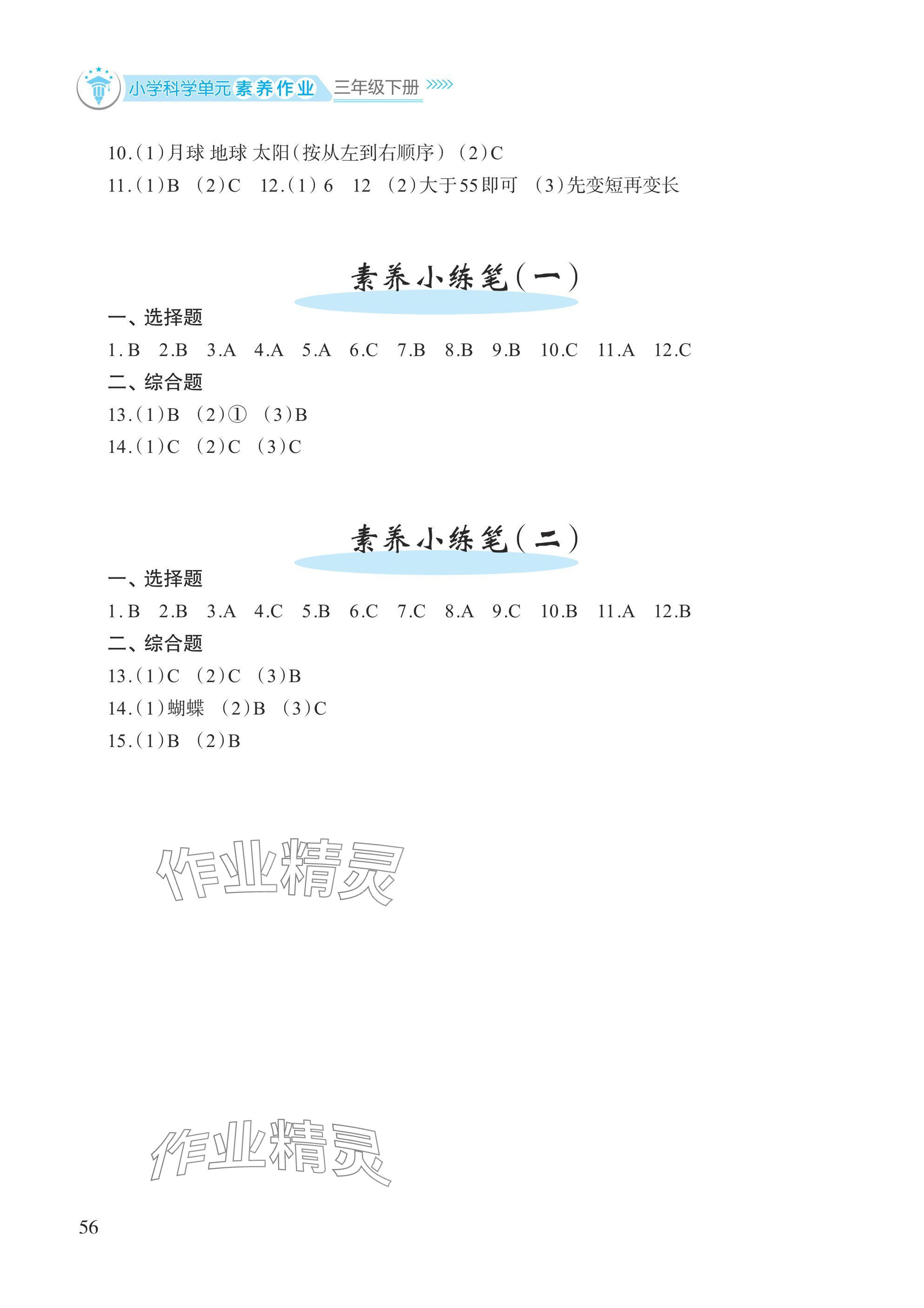 2025年小学单元素养作业三年级科学下册教科版 参考答案第2页