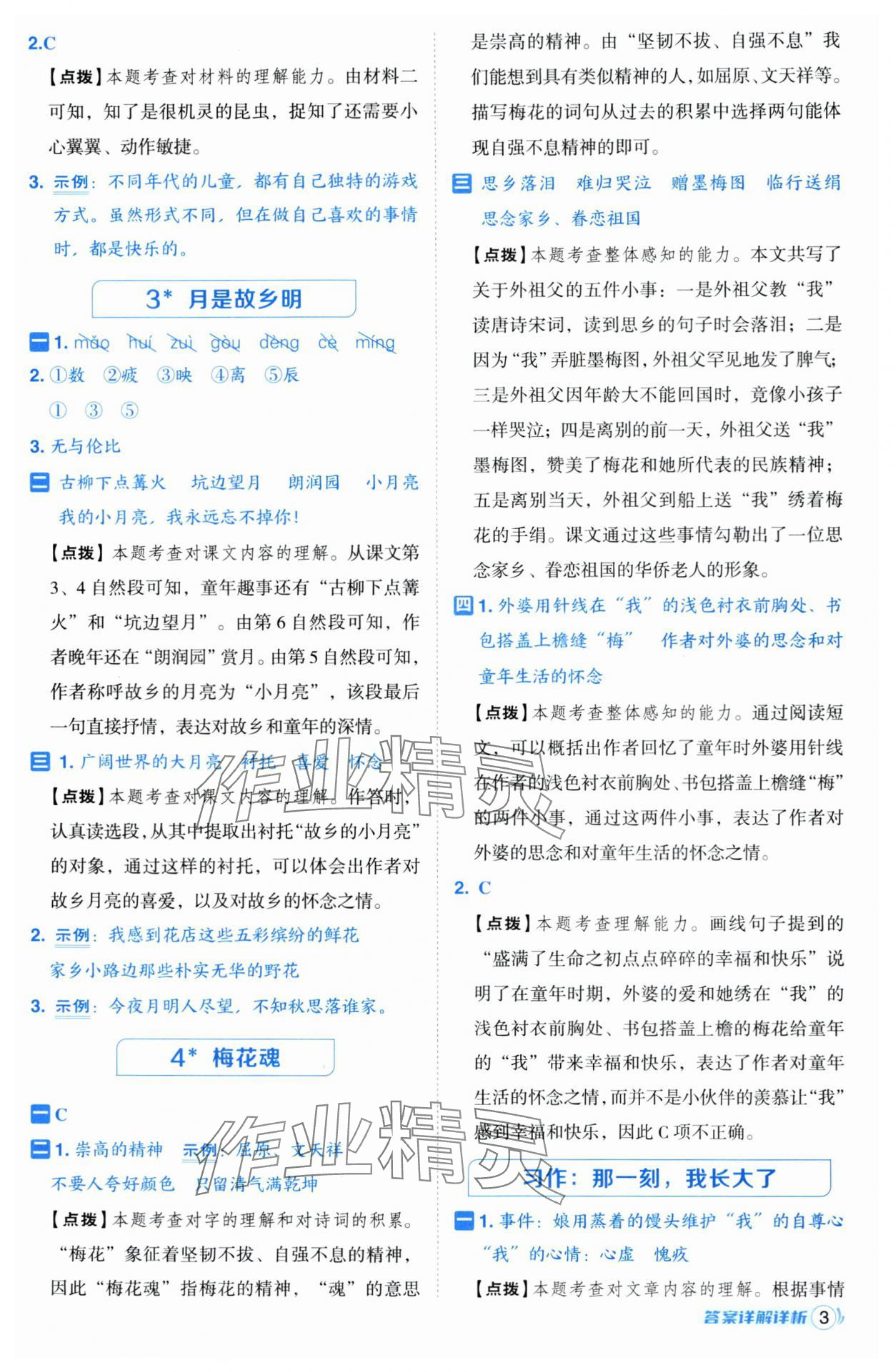 2025年综合应用创新题典中点五年级语文下册人教版宁夏专版 第3页