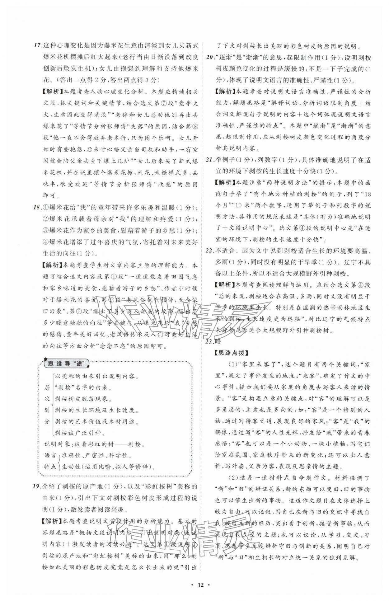 2026年中考必备辽宁师范大学出版社语文辽宁专版&nbsp;第14页