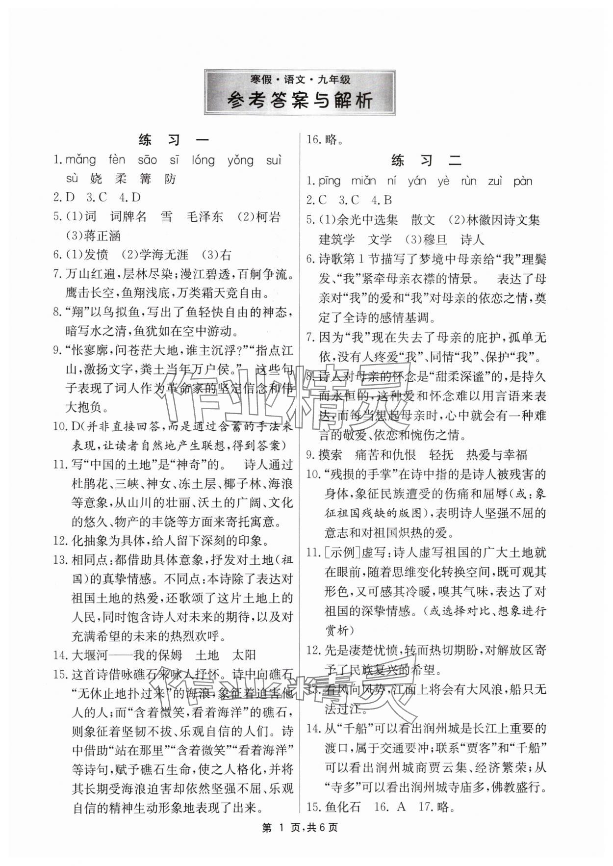 2024年快樂寒假江蘇人民出版社九年級語文 第1頁
