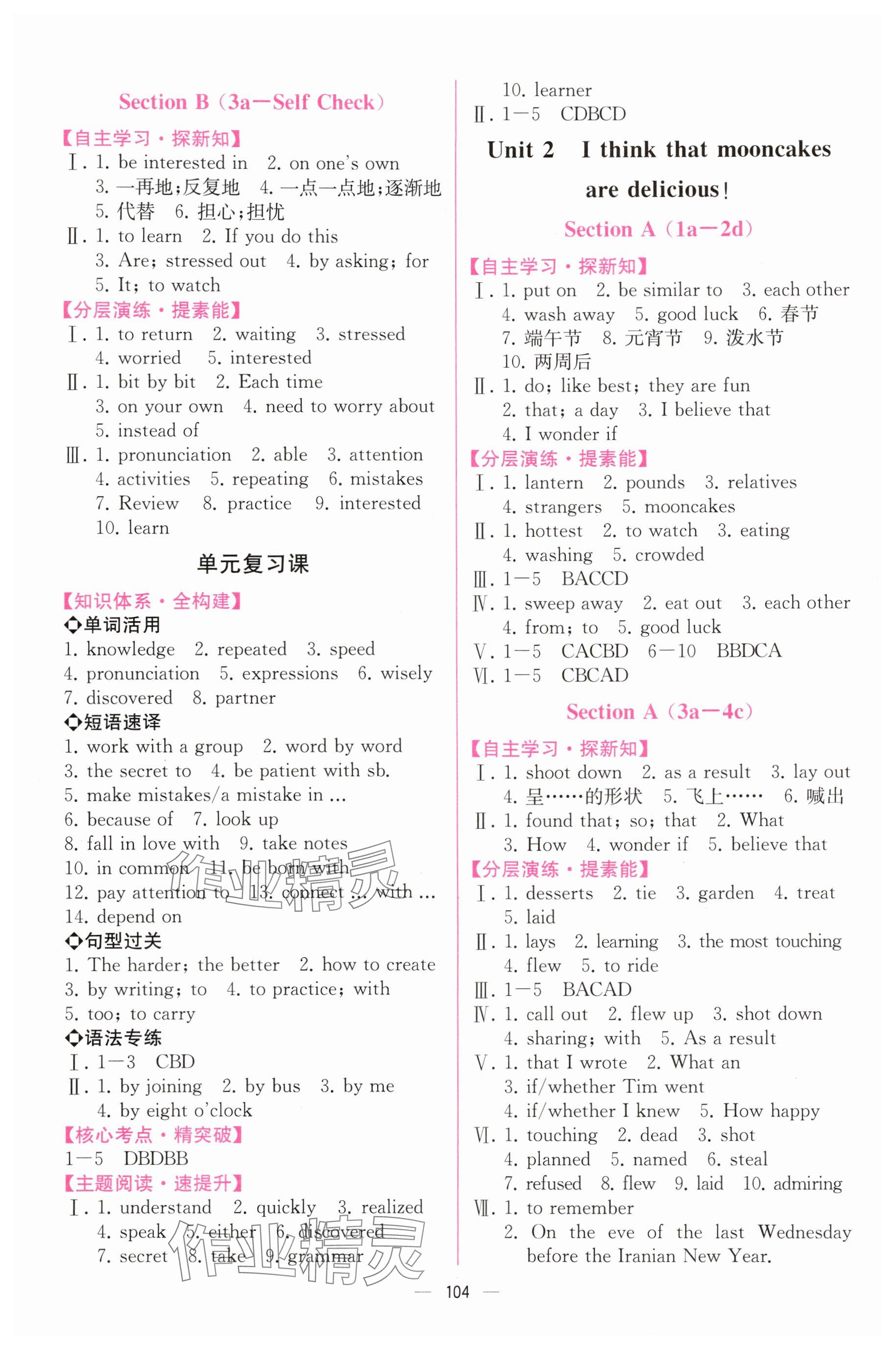 2025年同步导学案课时练九年级英语全一册人教版河南专版 参考答案第2页