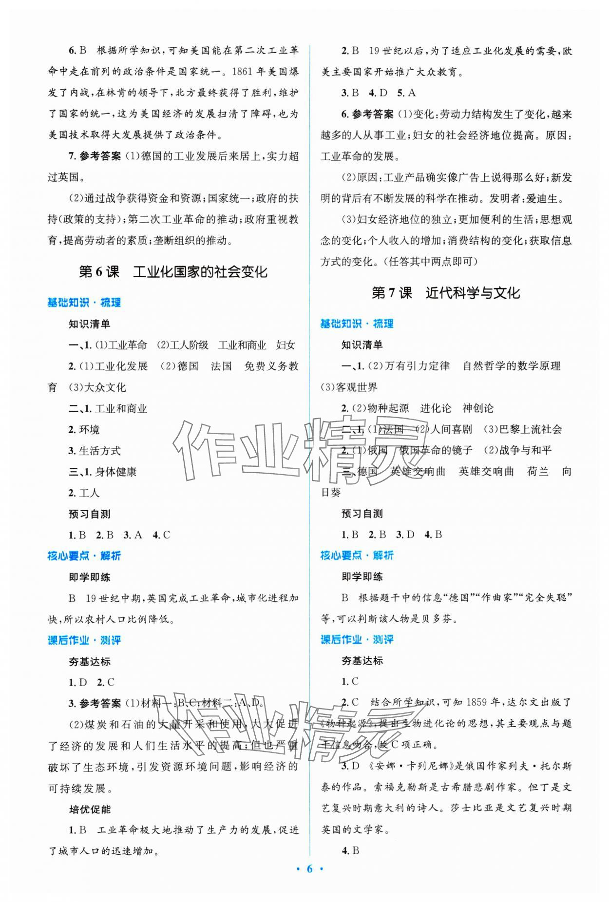2025年同步解析與測評學考練九年級歷史下冊人教版精編版 參考答案第6頁
