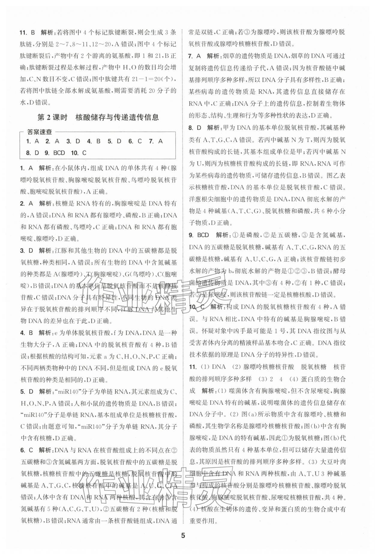 2025年通城学典课时作业本高中生物学必修1分子与细胞苏教版 第5页