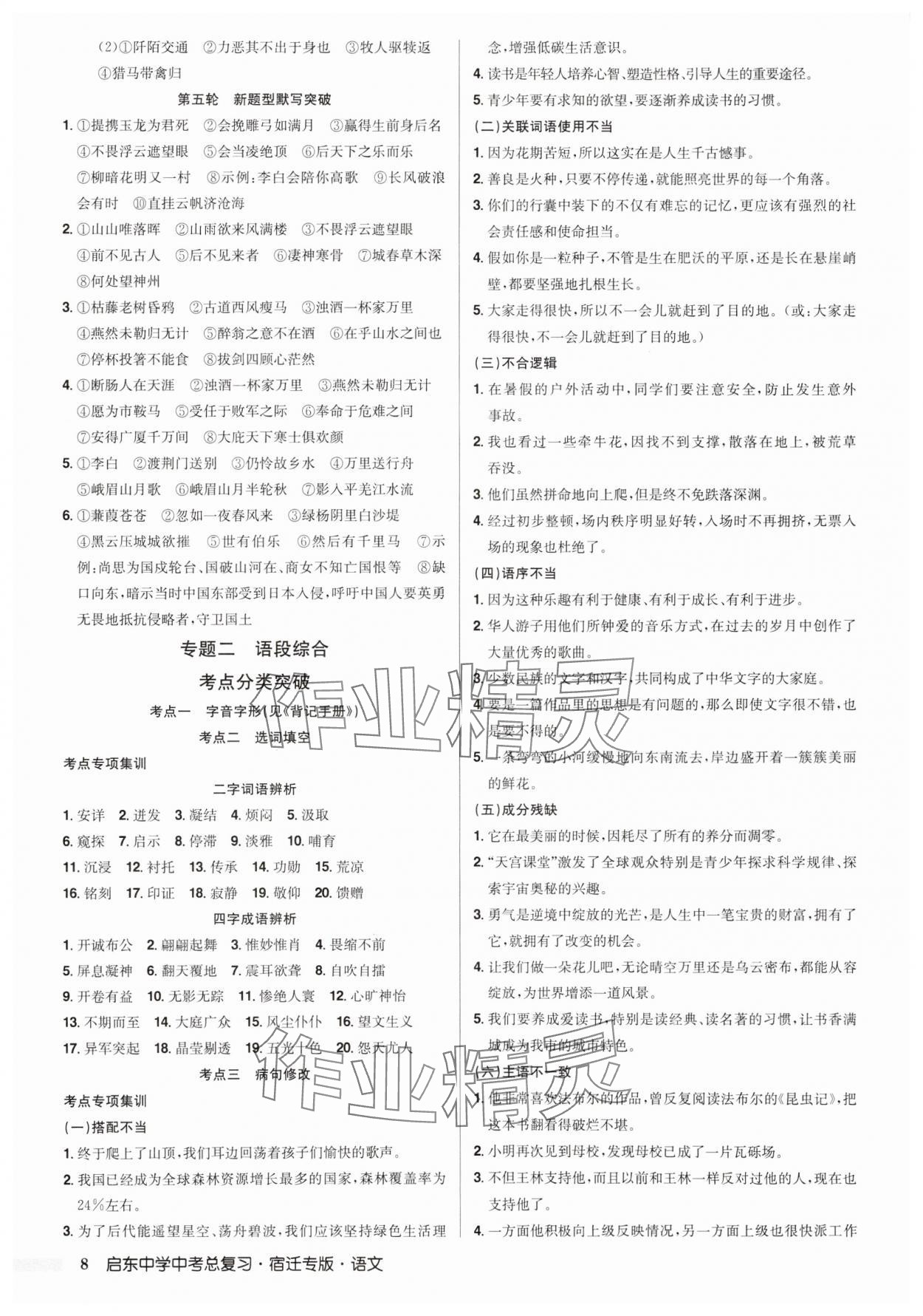 2025年啟東中學中考總復習語文宿遷專版 第8頁