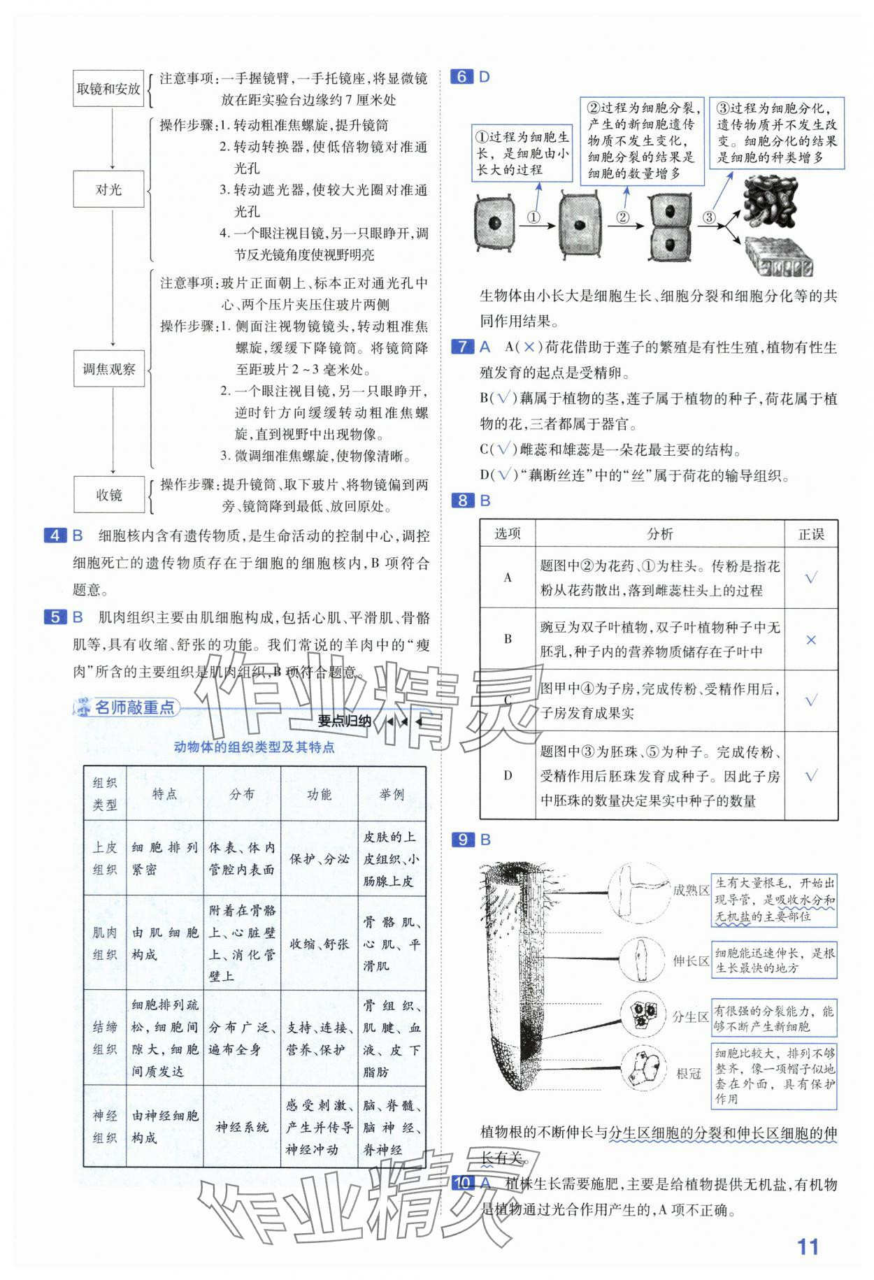 2024年金考卷45套汇编生物河南专版 第11页