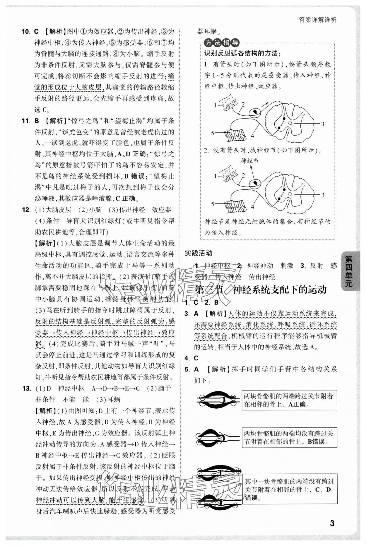 2025年万唯中考情境题八年级生物全一册人教版&nbsp;第3页