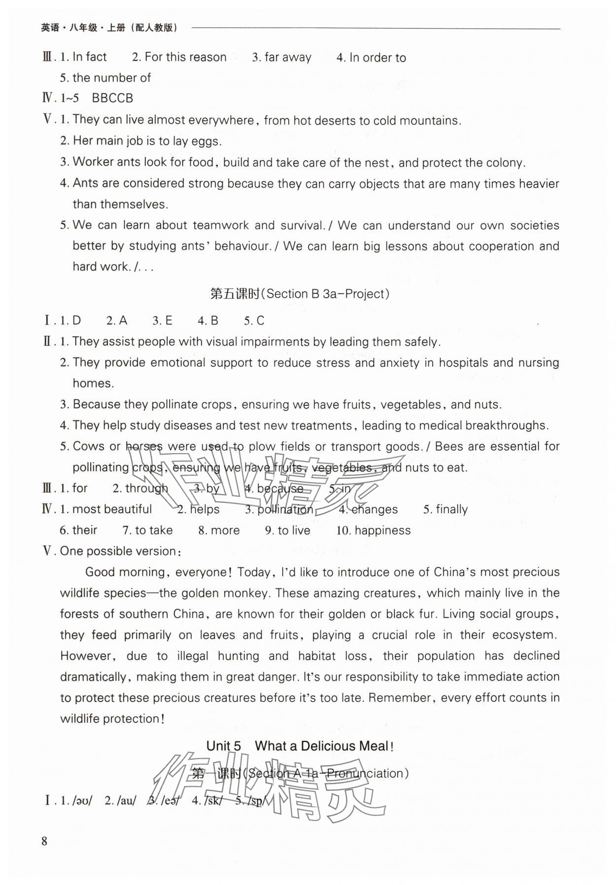2025年新課程問題解決導學方案八年級英語上冊人教版 第8頁