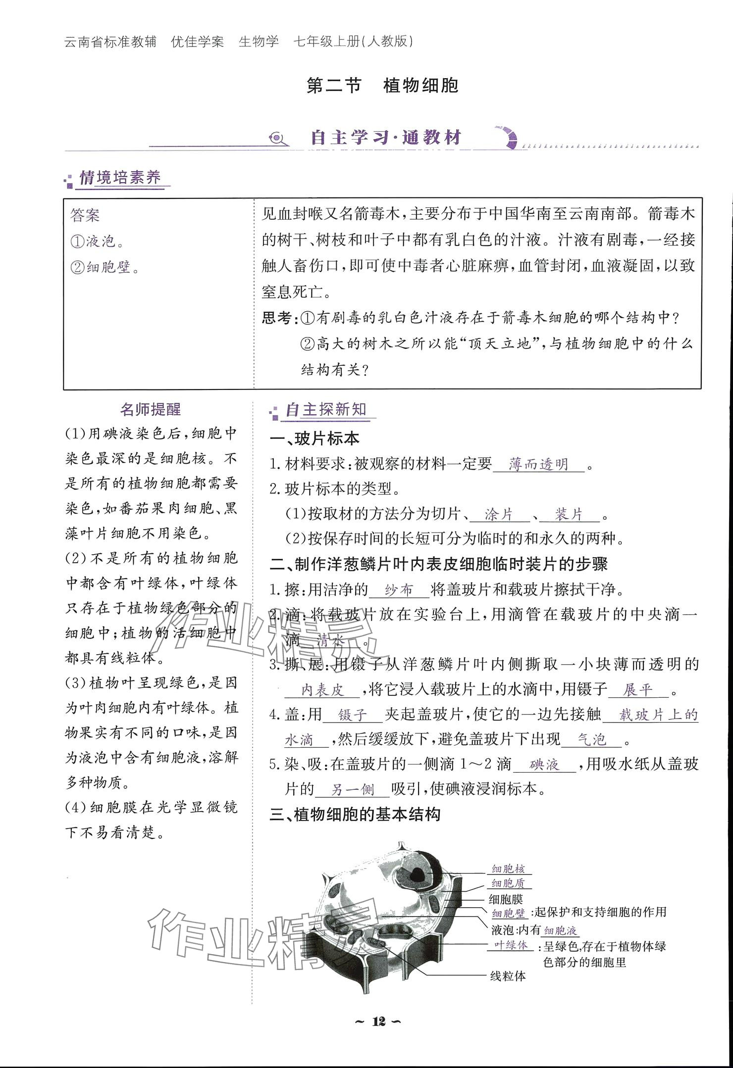 2024云南省標(biāo)準(zhǔn)教輔優(yōu)佳學(xué)案七年級(jí)生物上冊(cè) 參考答案第12頁