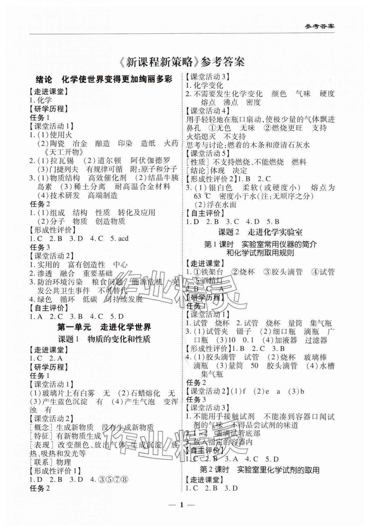 2024年新課程新策略復習篇九年級化學 第1頁