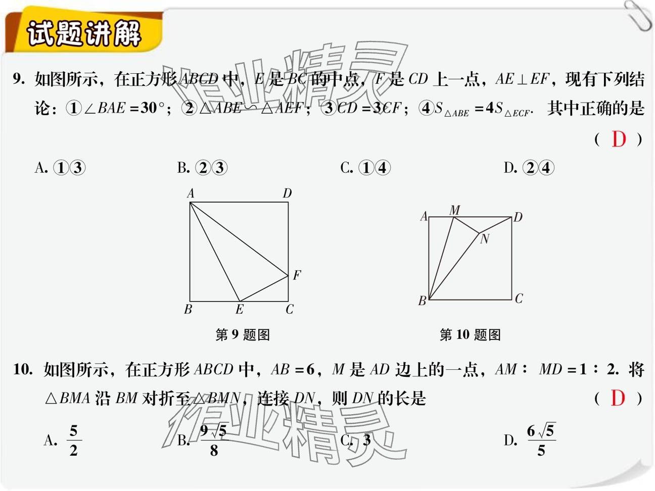 2024年復(fù)習(xí)直通車(chē)期末復(fù)習(xí)與假期作業(yè)九年級(jí)數(shù)學(xué)北師大版 參考答案第5頁(yè)