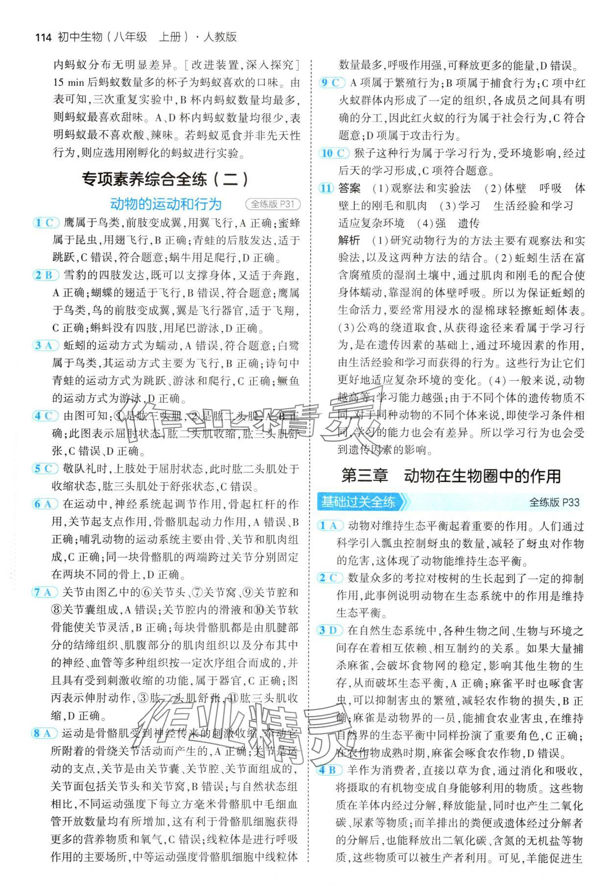 2024年5年中考3年模拟八年级生物上册人教版 第12页