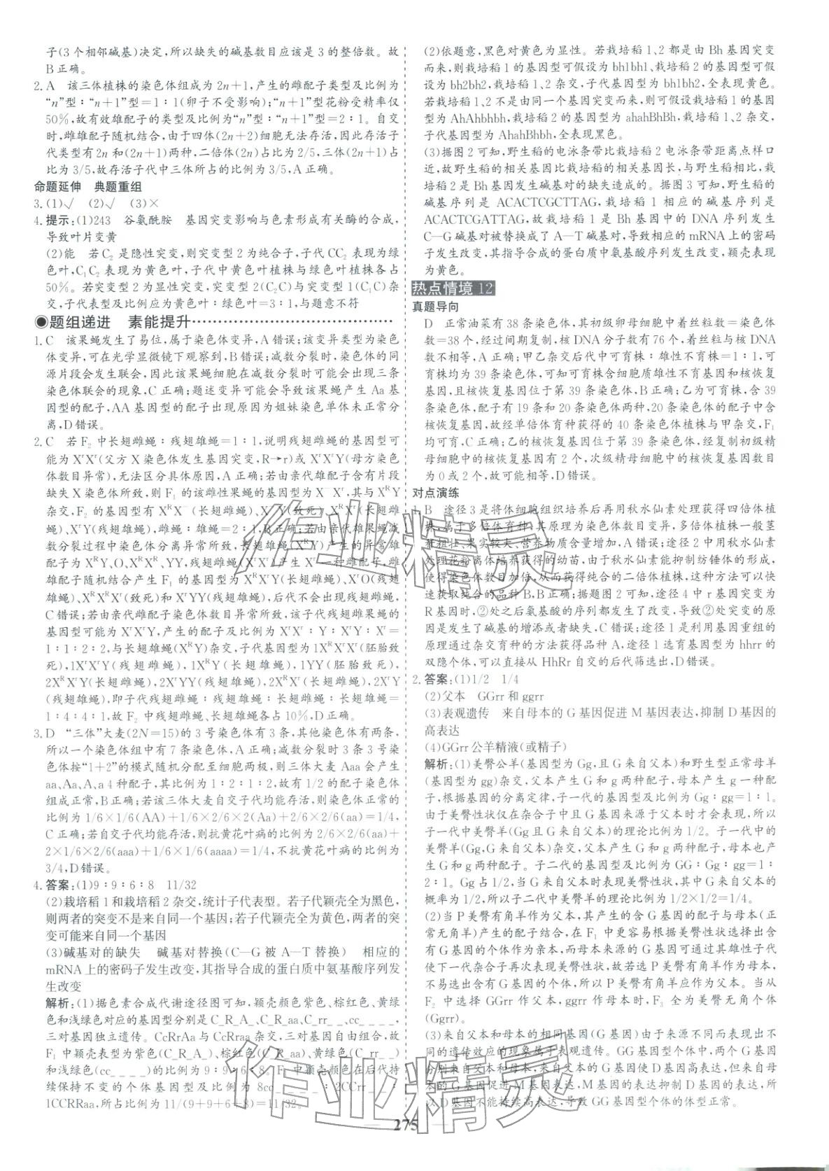 2026年优化探究高考专题复习生物&nbsp;参考答案第17页