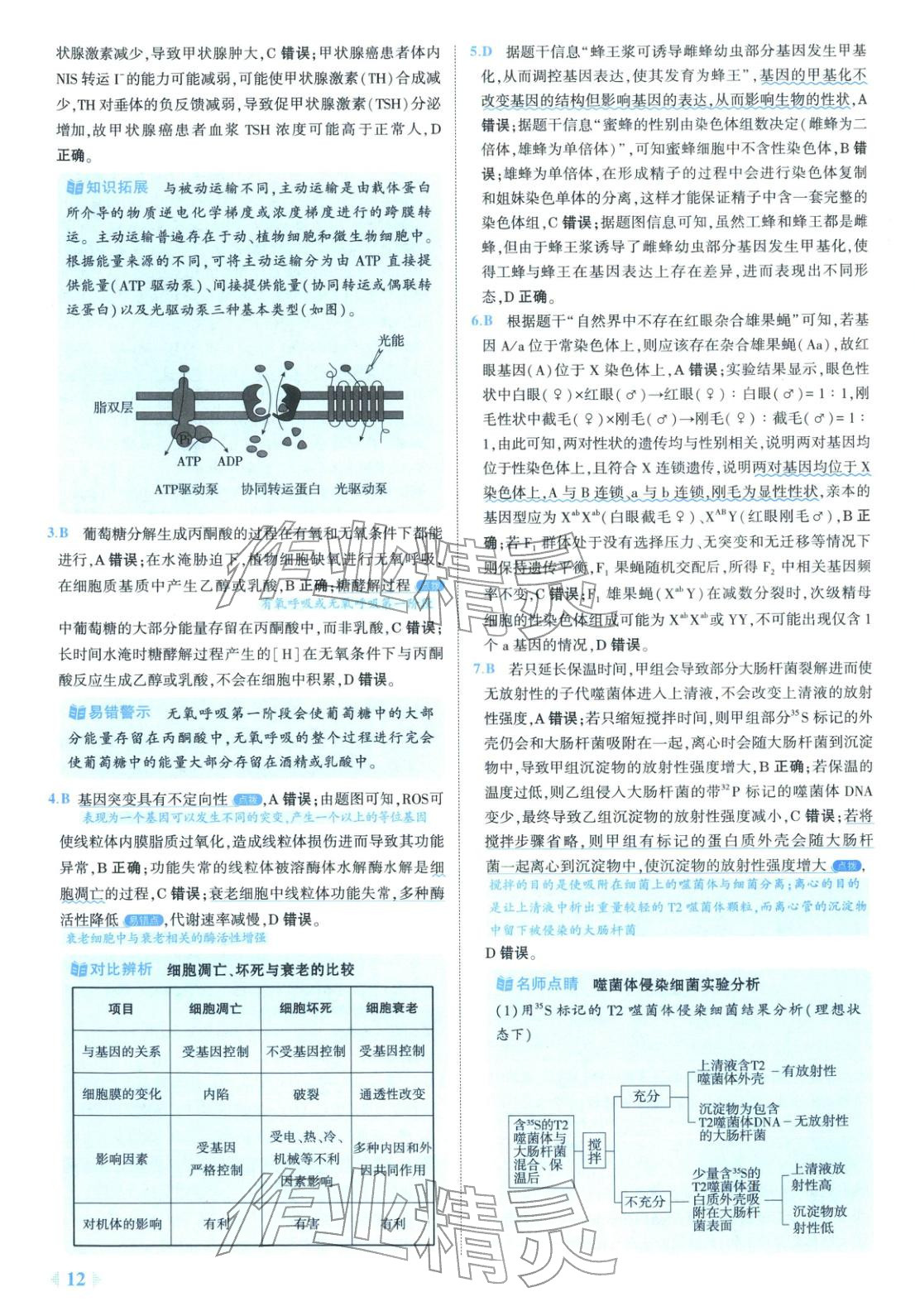 2026年53金卷优选卷汇编高中生物陕晋青宁专版&nbsp;第12页