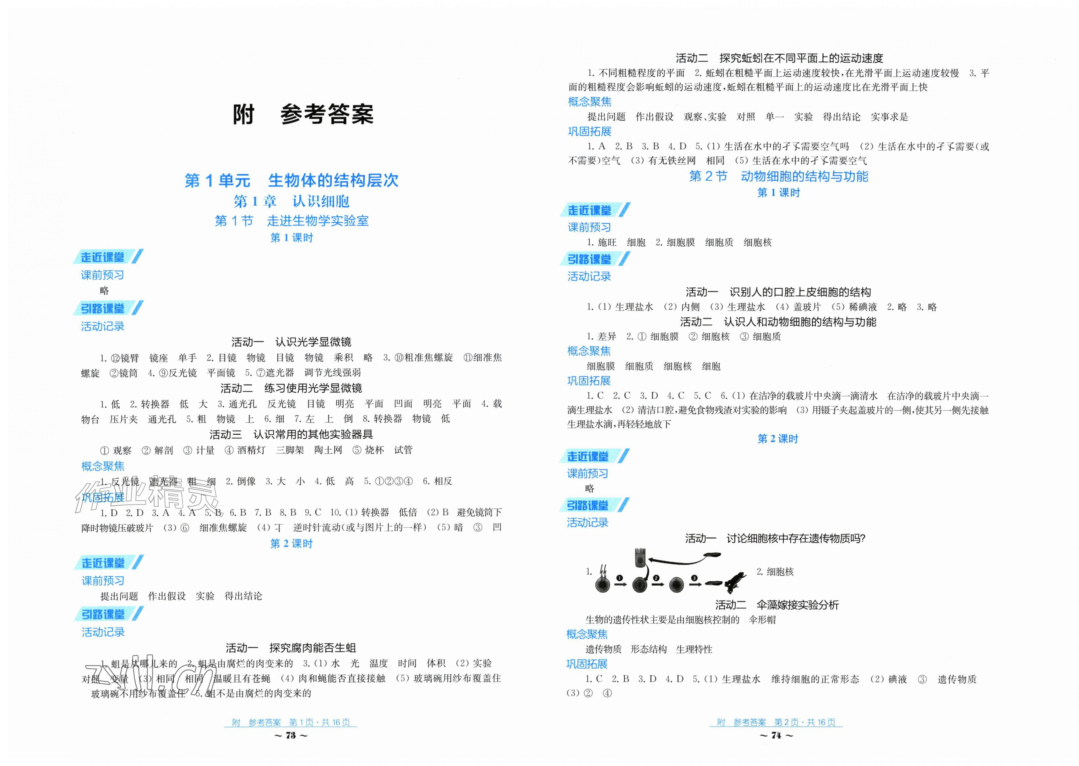 2026年学习与评价江苏凤凰教育出版社七年级生物上册苏教版湖南专版&nbsp;第1页