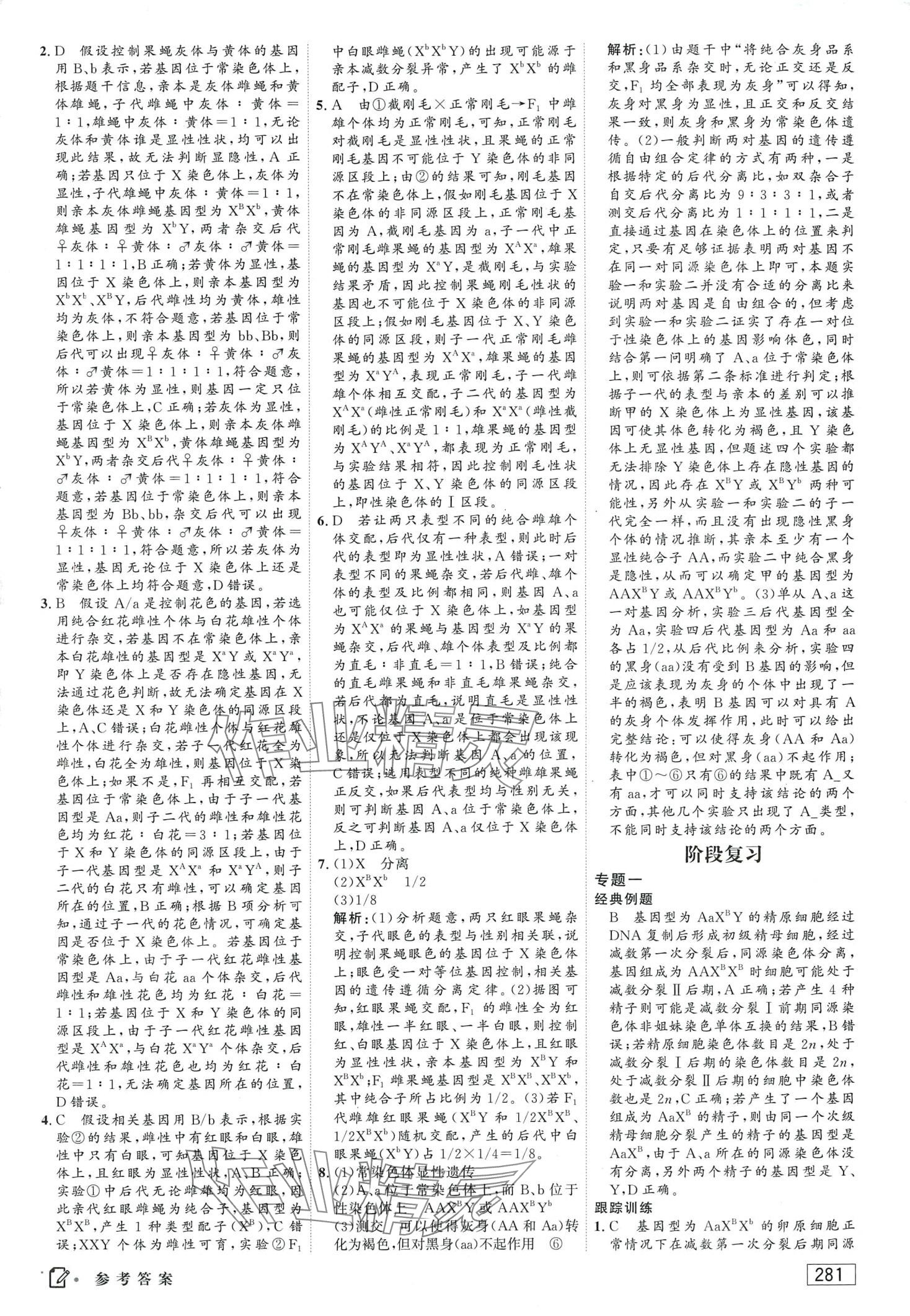 2024年红对勾讲与练高中生物必修2人教版 第11页