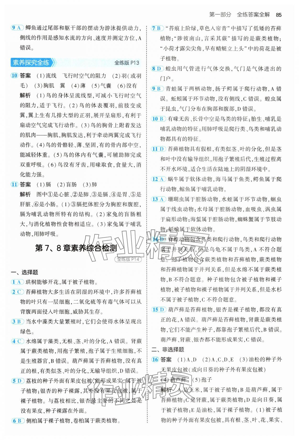 2025年5年中考3年模擬七年級(jí)生物下冊(cè)蘇科版 第5頁(yè)