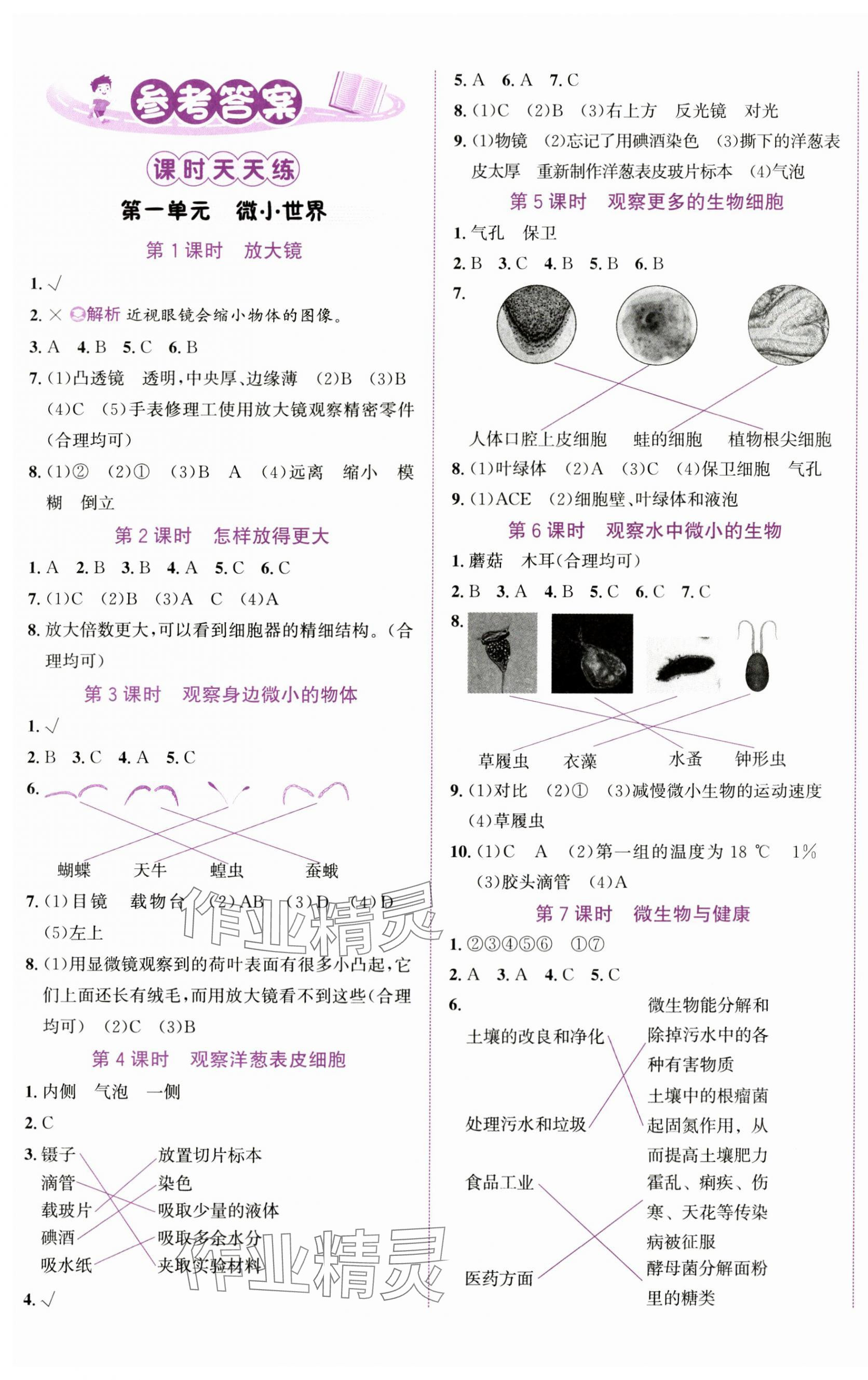 2023年奔跑吧少年六年級科學上冊教科版 第1頁