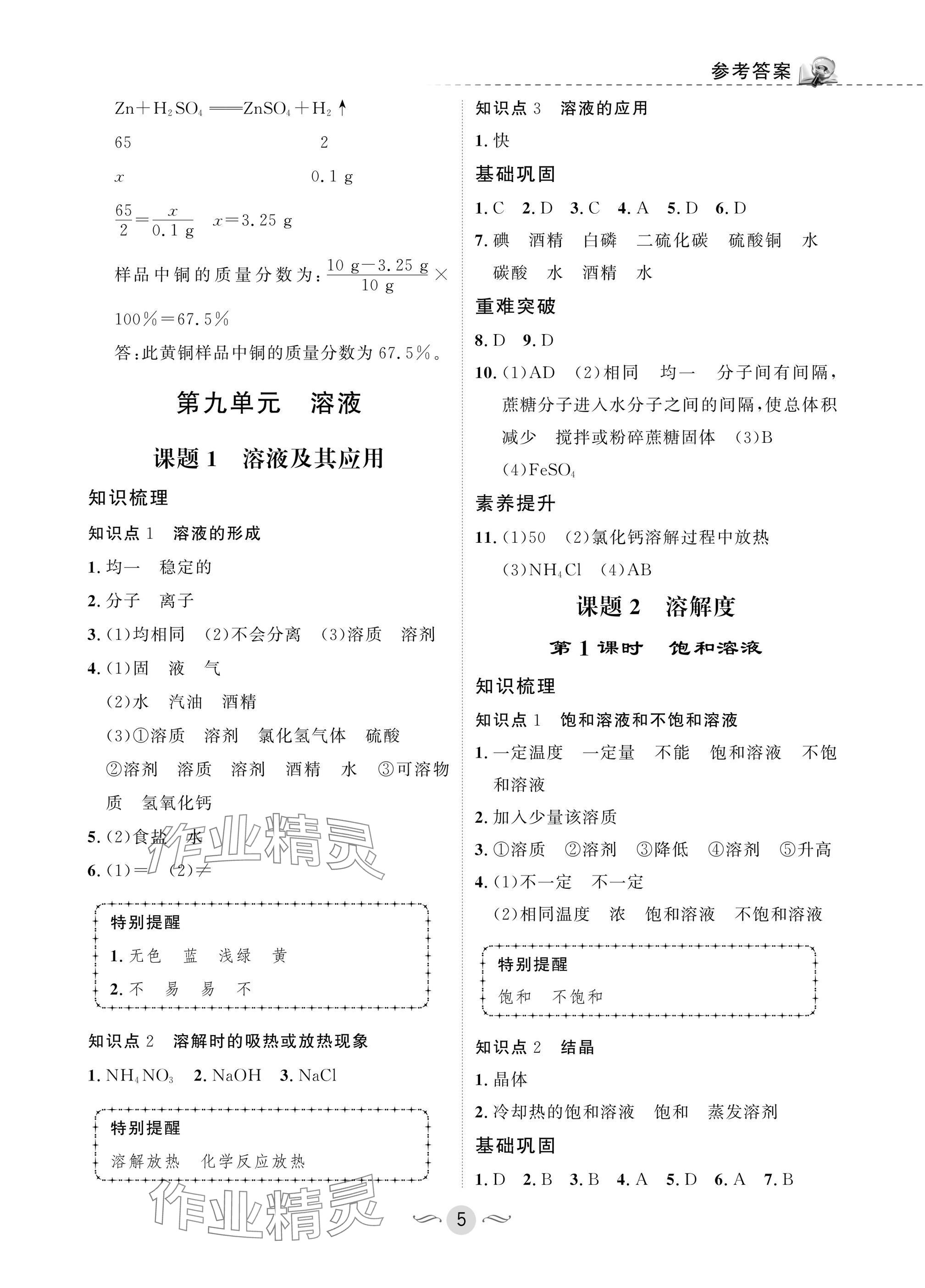 2025年配套綜合練習甘肅九年級化學下冊人教版 參考答案第5頁