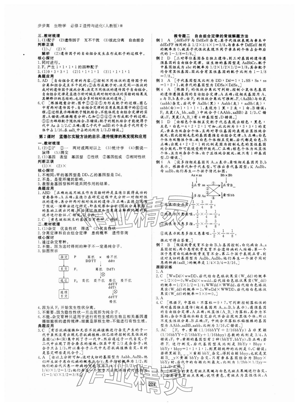 2024年步步高學(xué)習(xí)筆記高中生物必修2人教版 參考答案第3頁(yè)