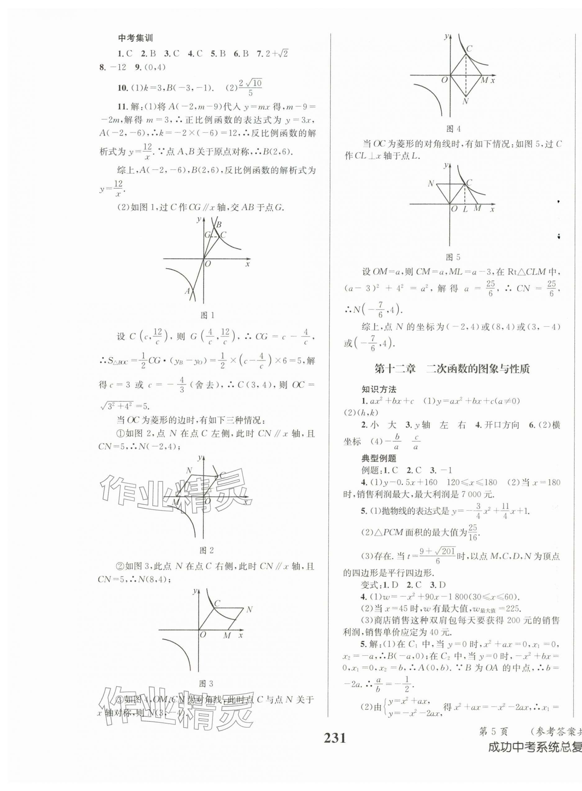 2026年成功中考系统总复习数学华师大版&nbsp;第5页