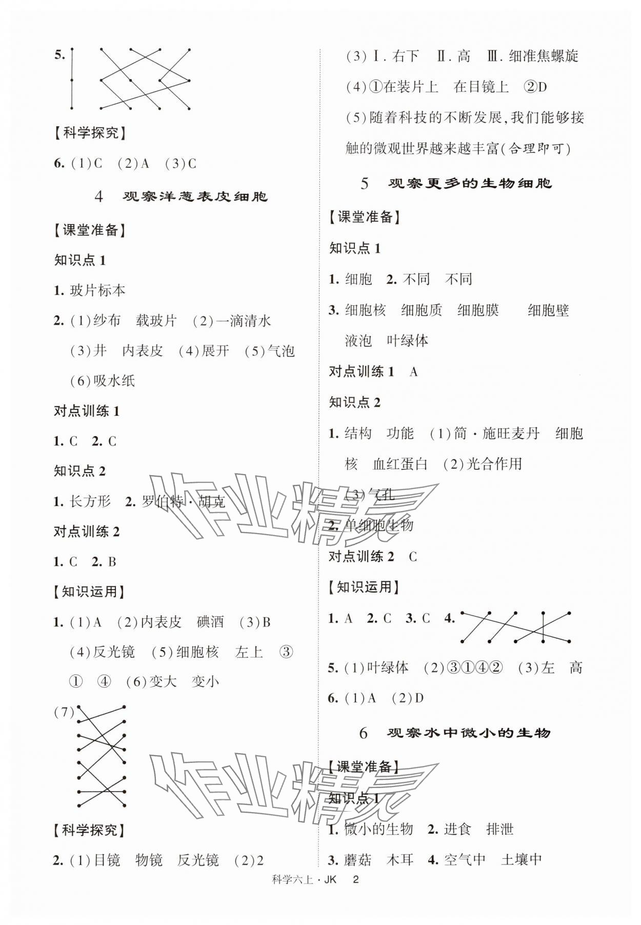 2024年經(jīng)綸學(xué)典提高班六年級(jí)科學(xué)上冊(cè)教科版 第2頁