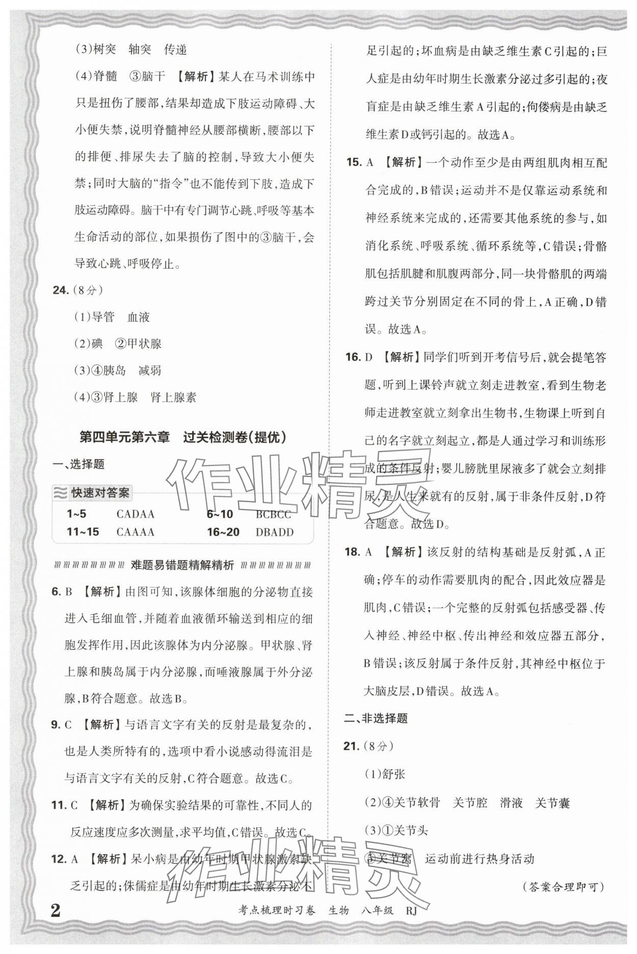 2026年王朝霞考点梳理时习卷八年级生物人教版 参考答案第2页