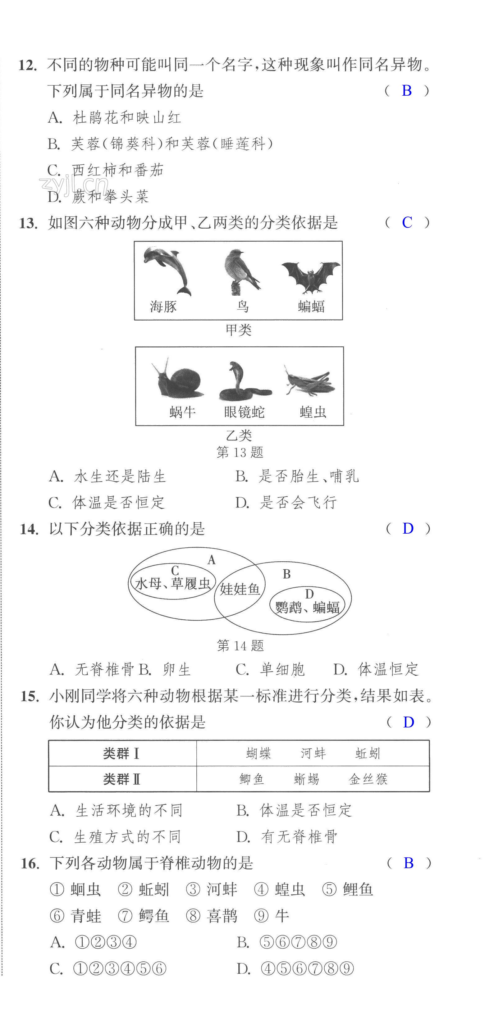 第33頁