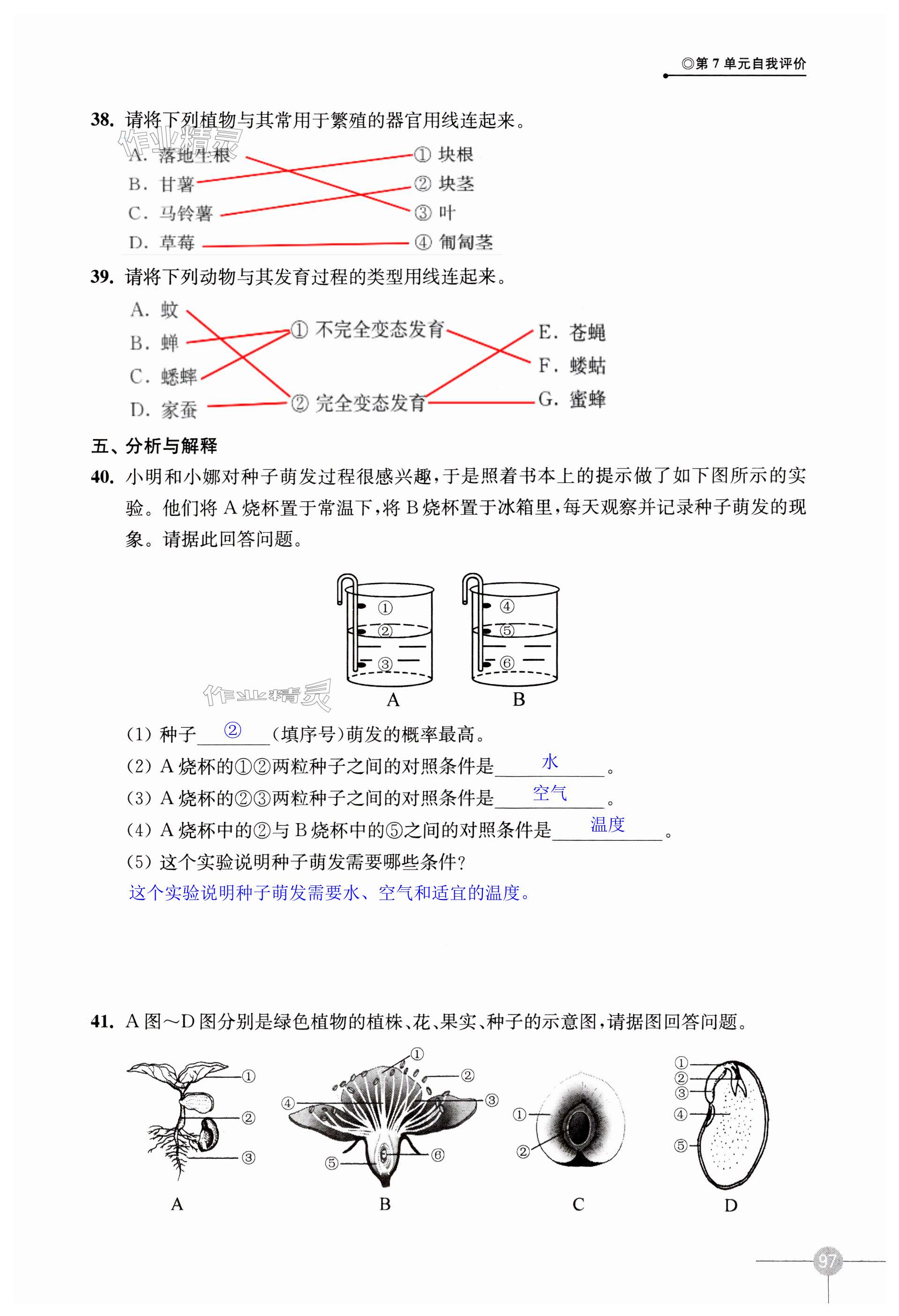 第97頁