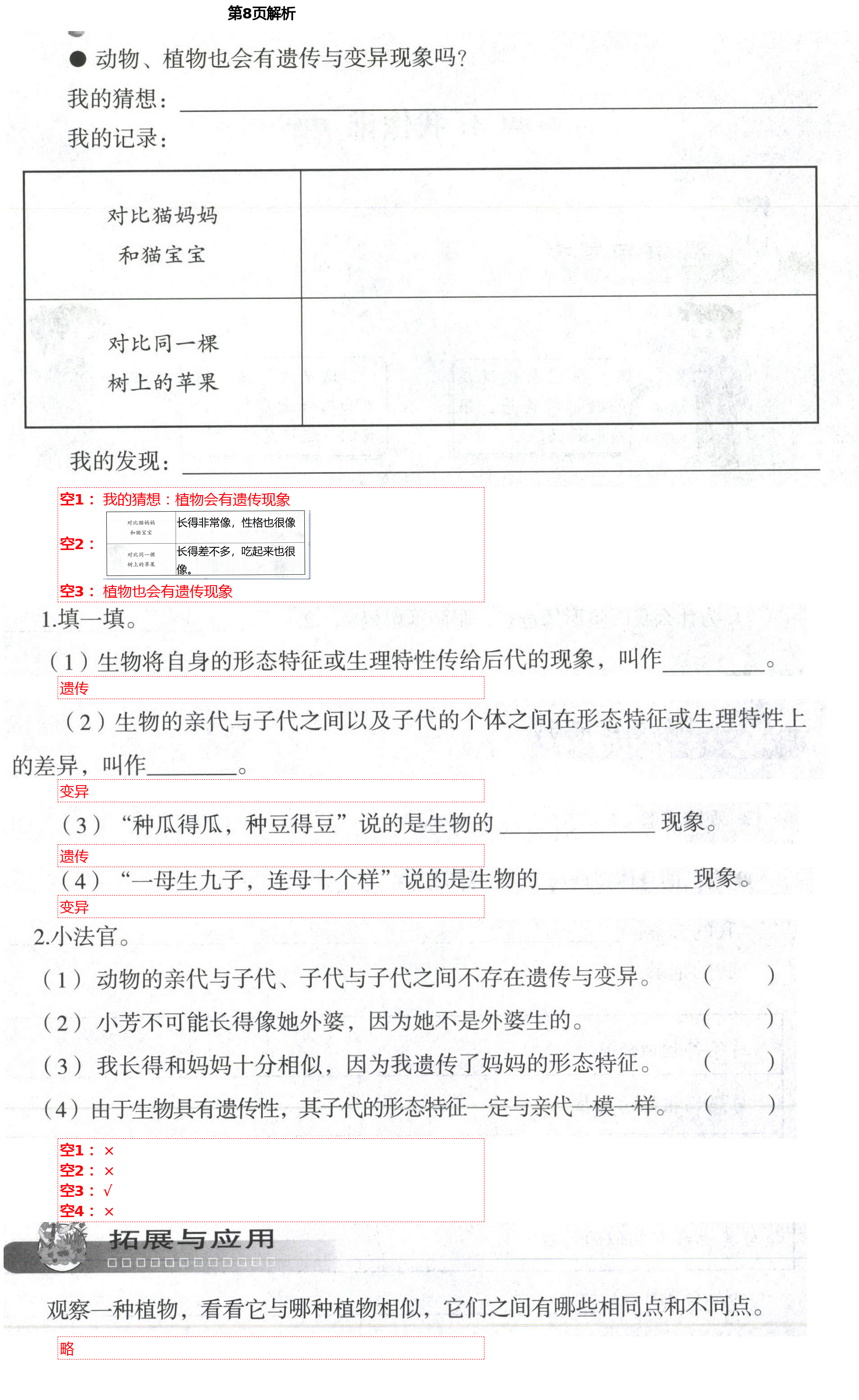 2021年自主學(xué)習(xí)指導(dǎo)課程六年級科學(xué)下冊青島版 第8頁