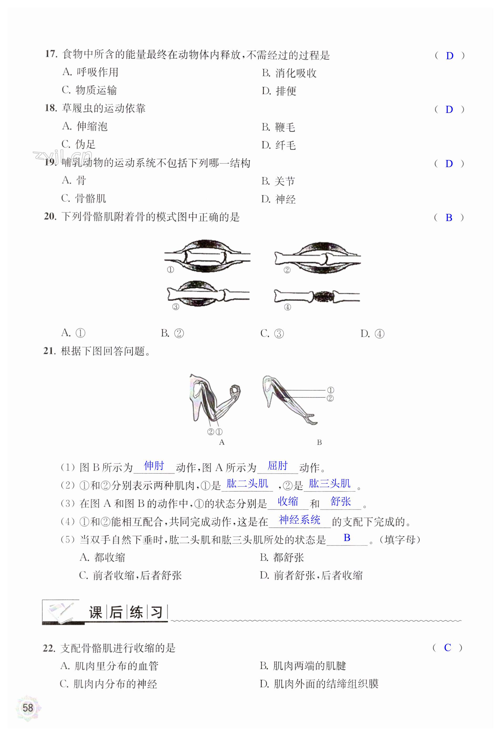 第58页