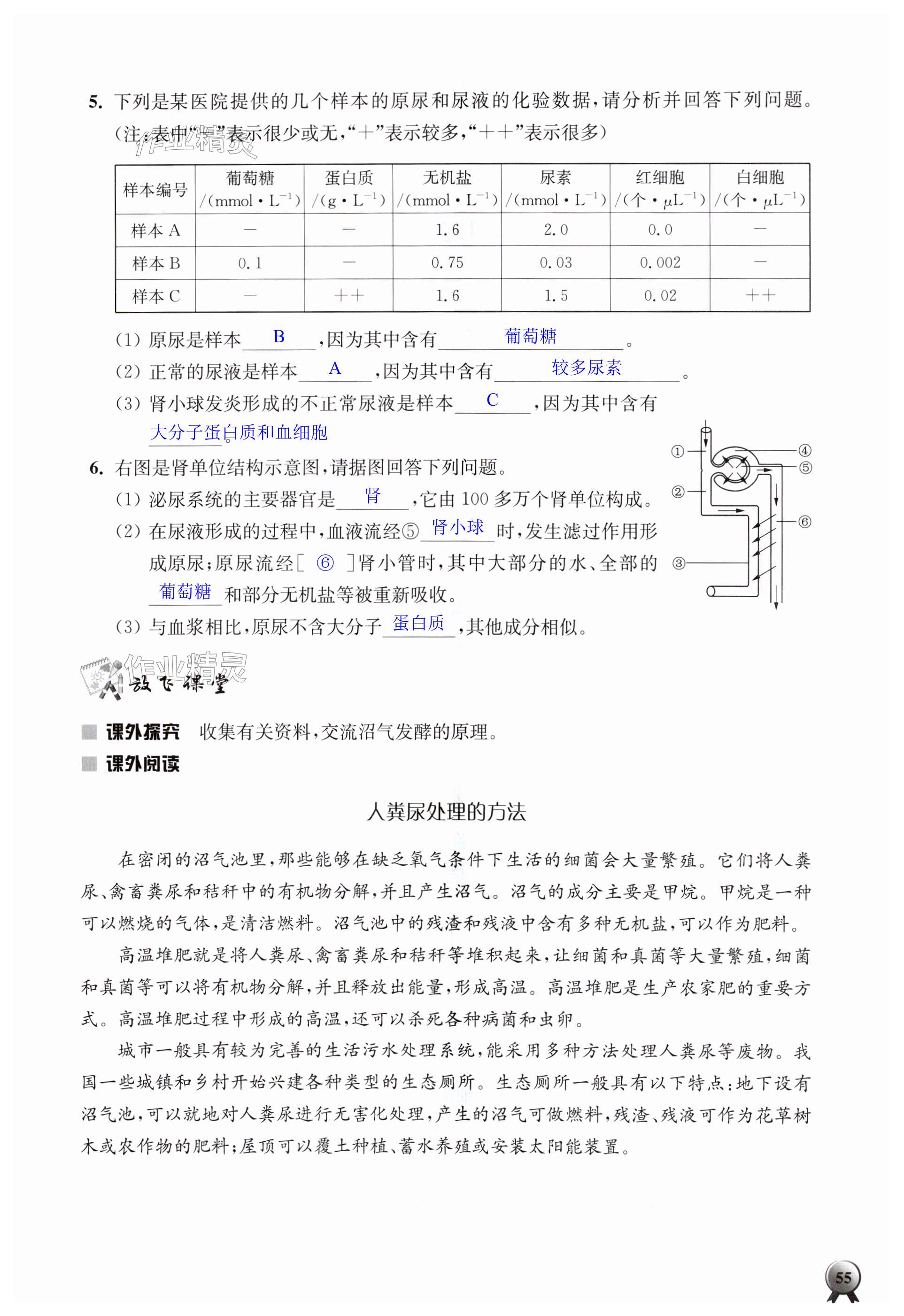 第55頁