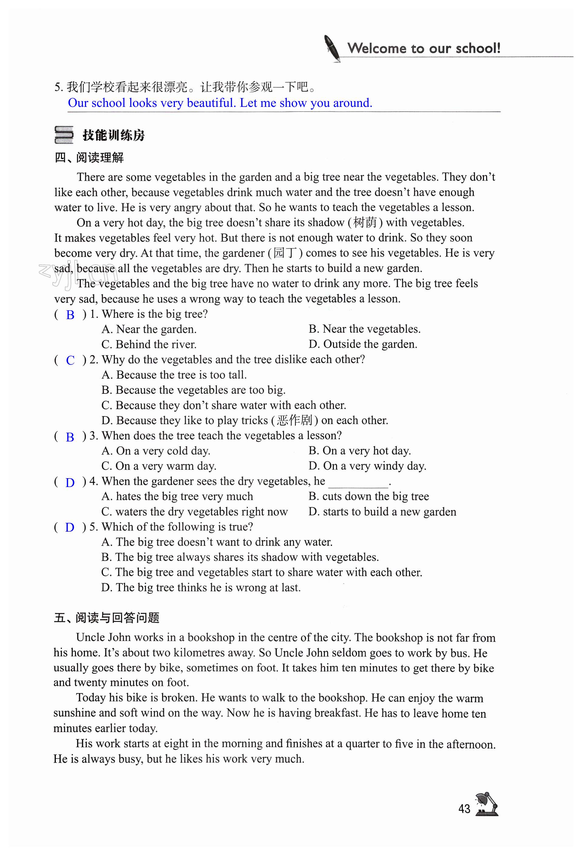 第43页
