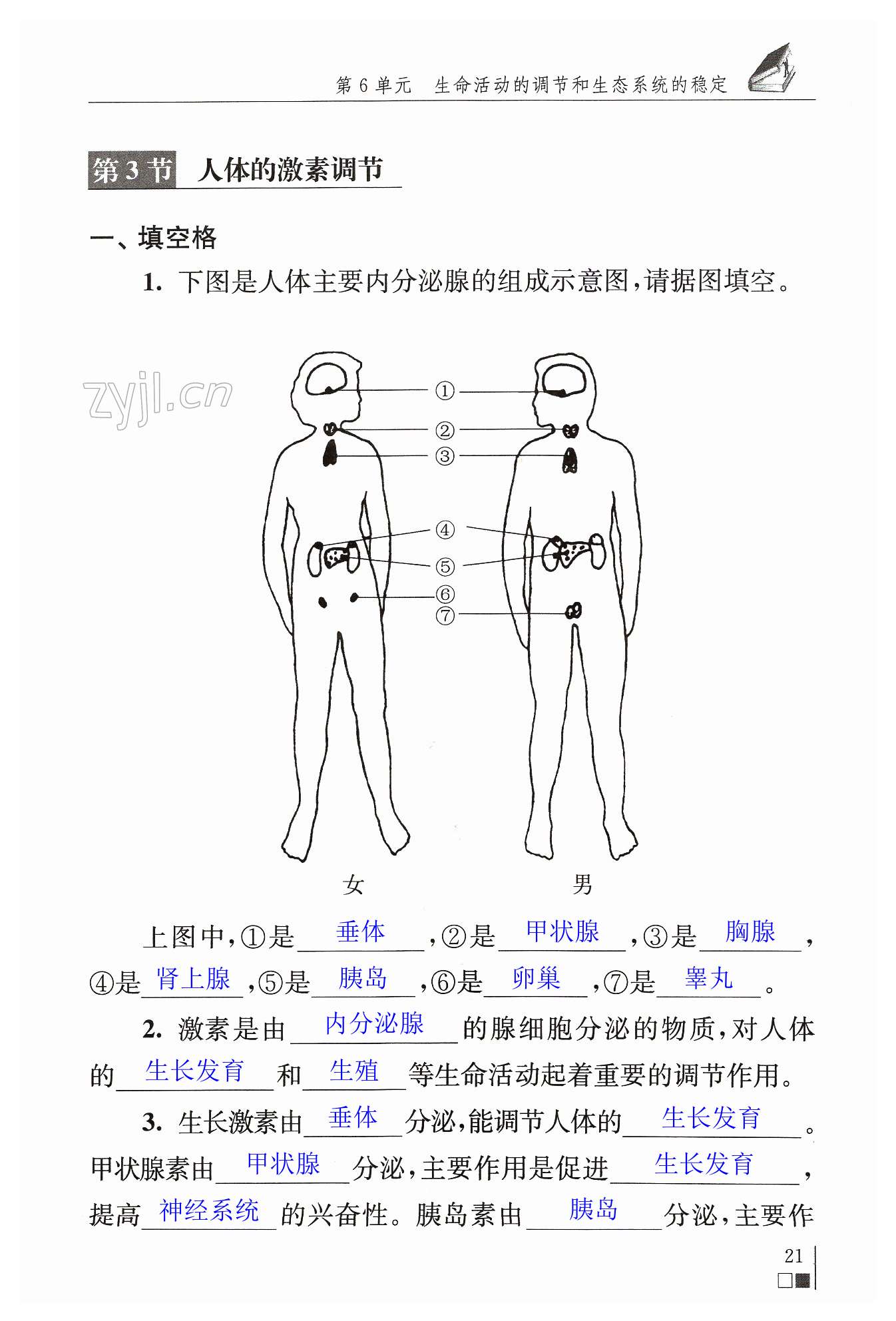 第21頁