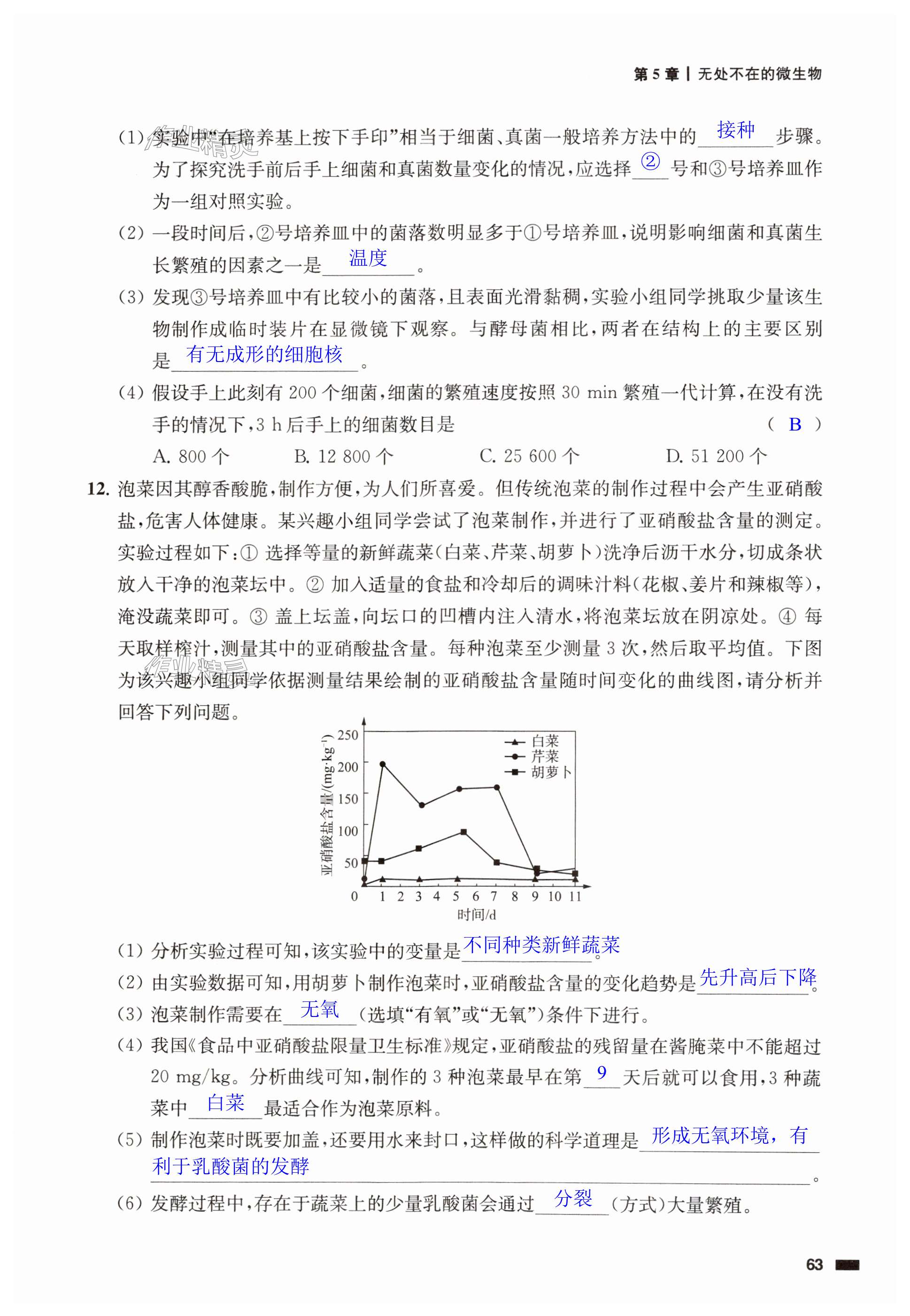 第63頁