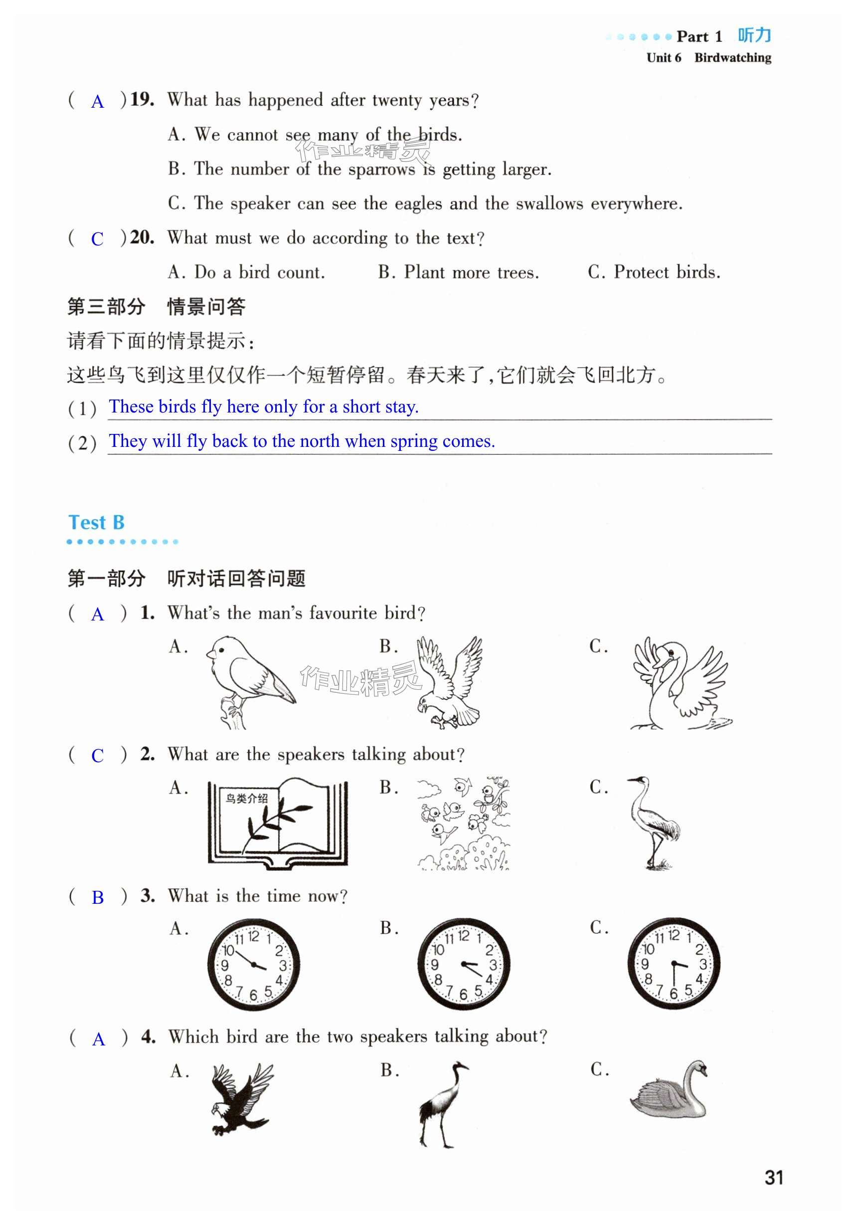 第31頁