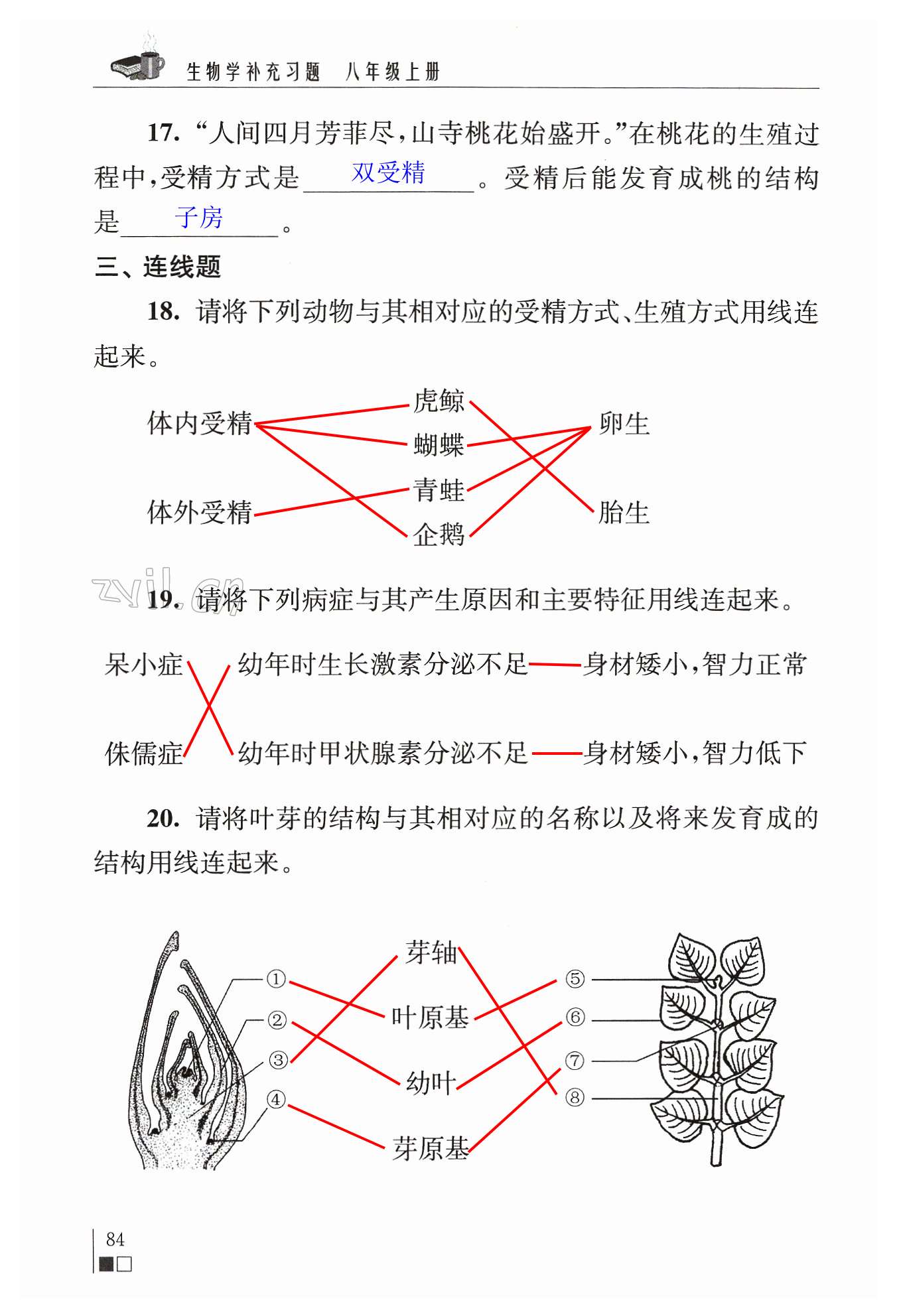 第84頁