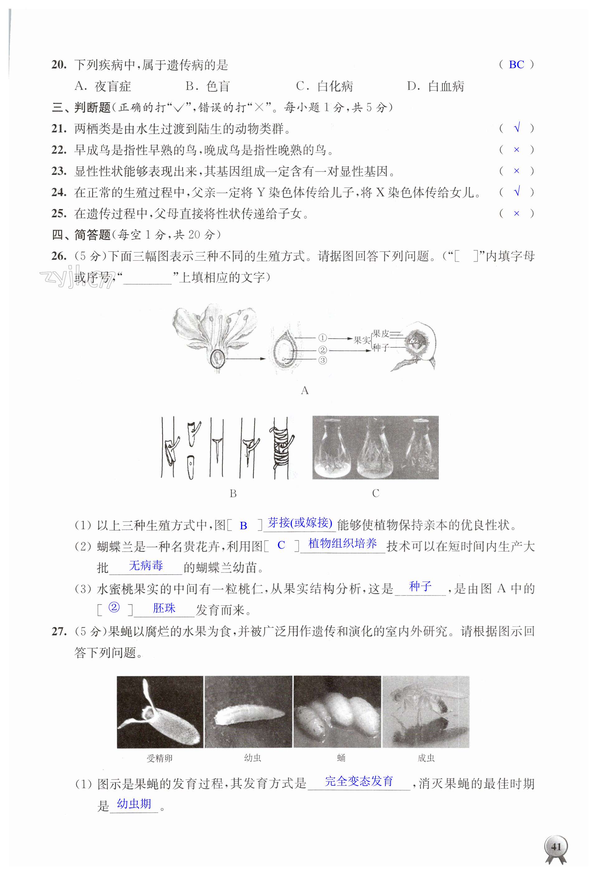 第41頁