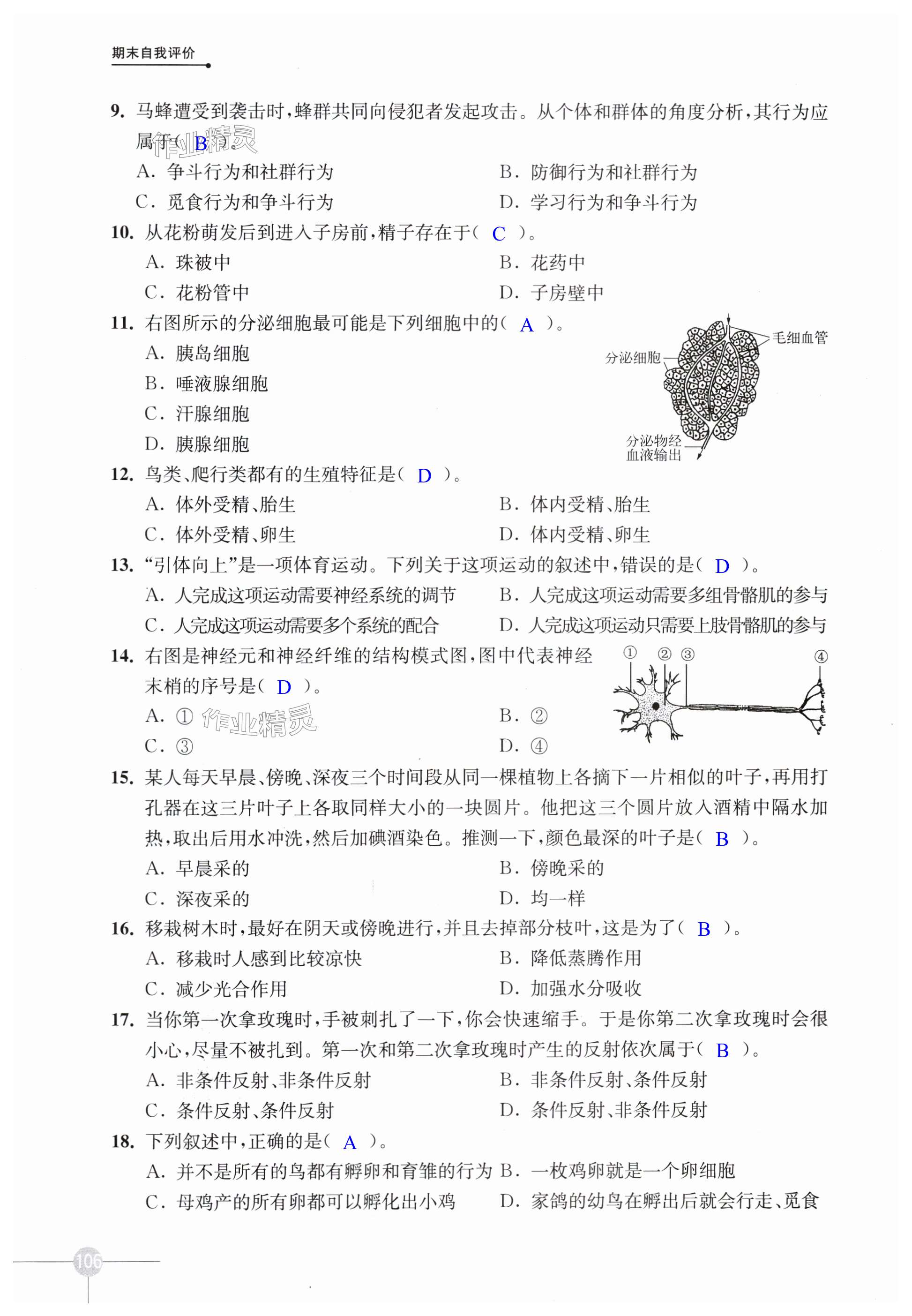 第106页