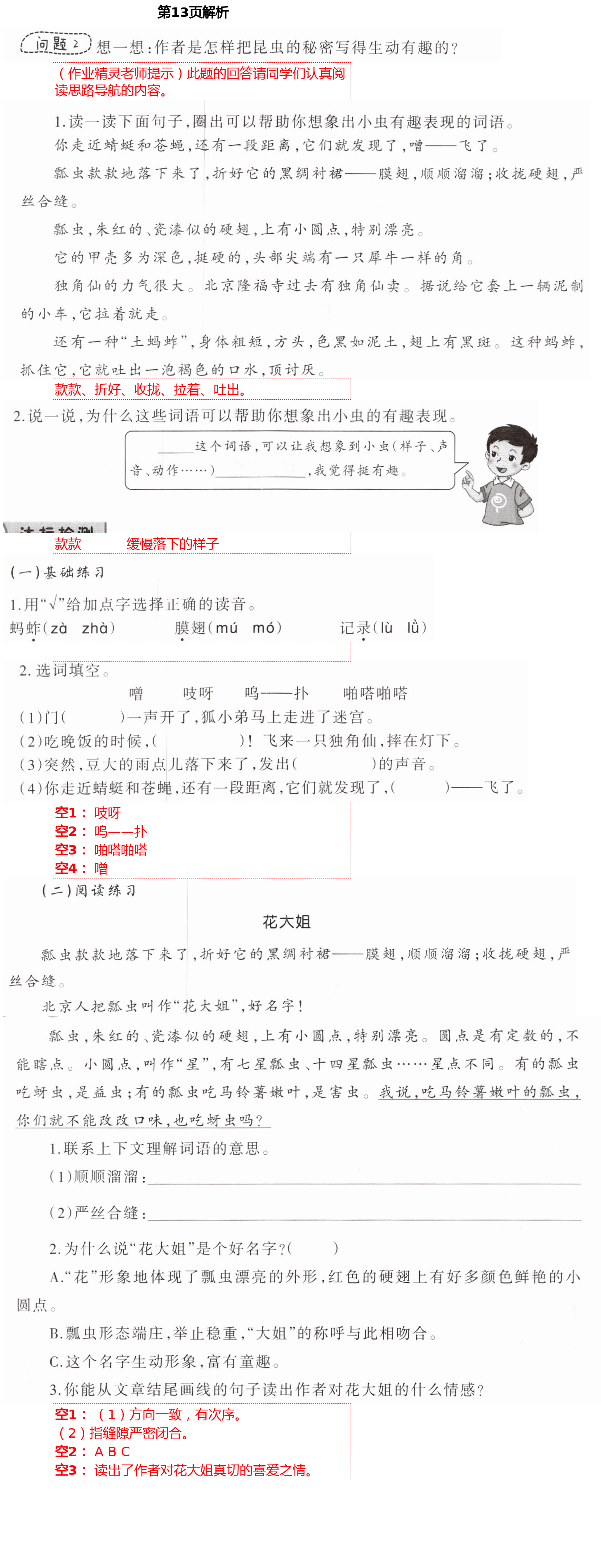 2021年小學語文導學精要三年級下冊人教版 第13頁