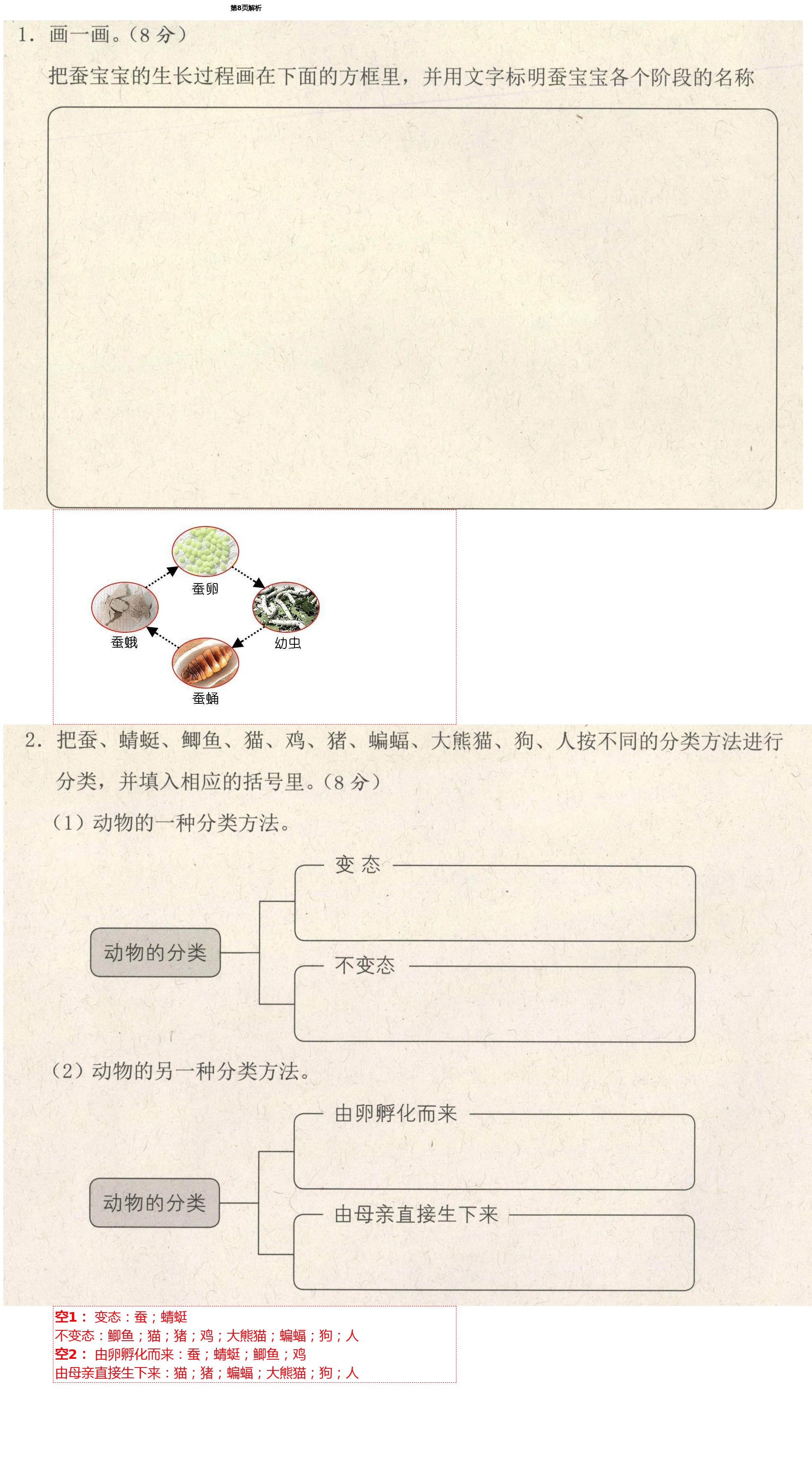 2021年学而晋三年级科学下册教科版&nbsp;第8页