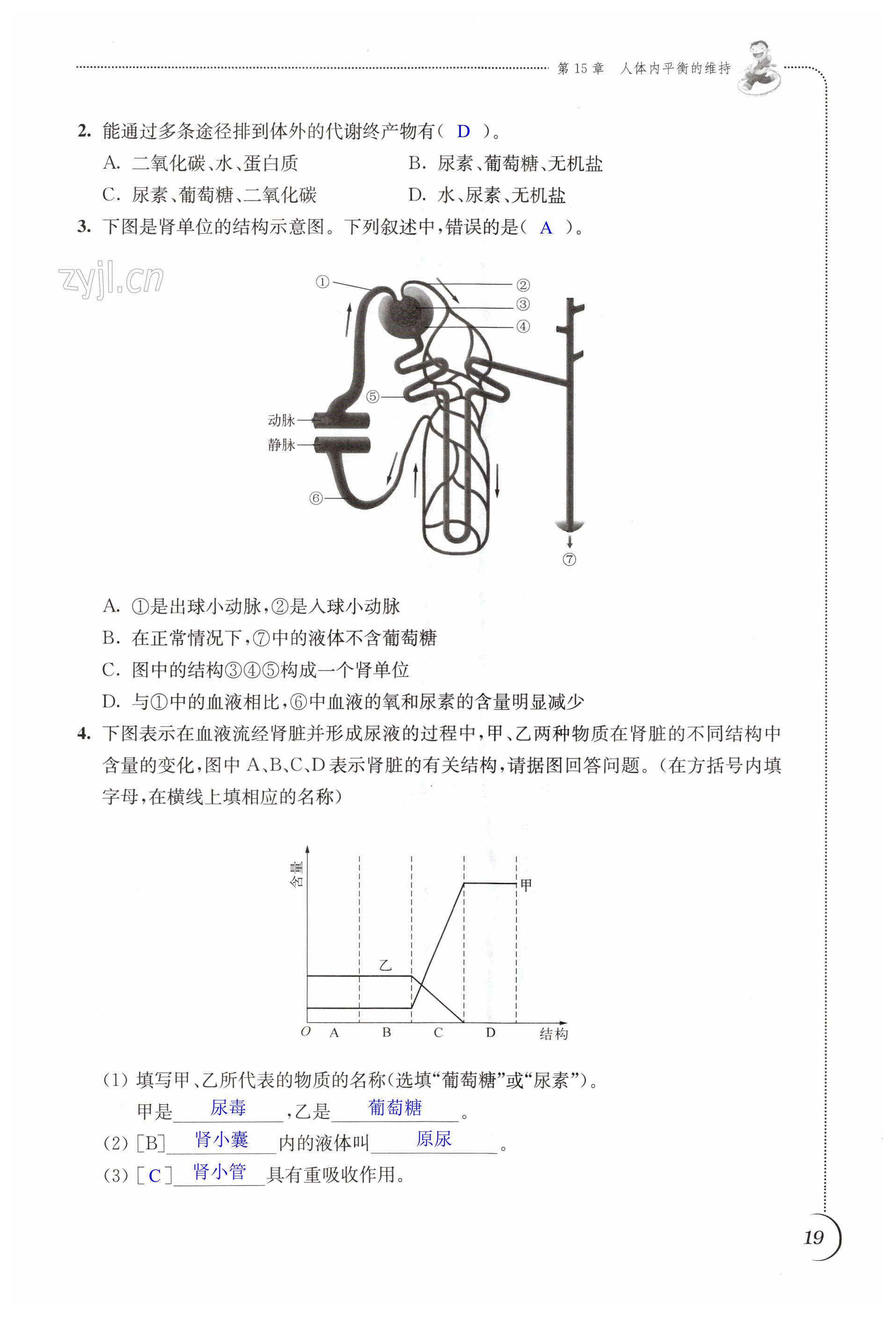 第19頁