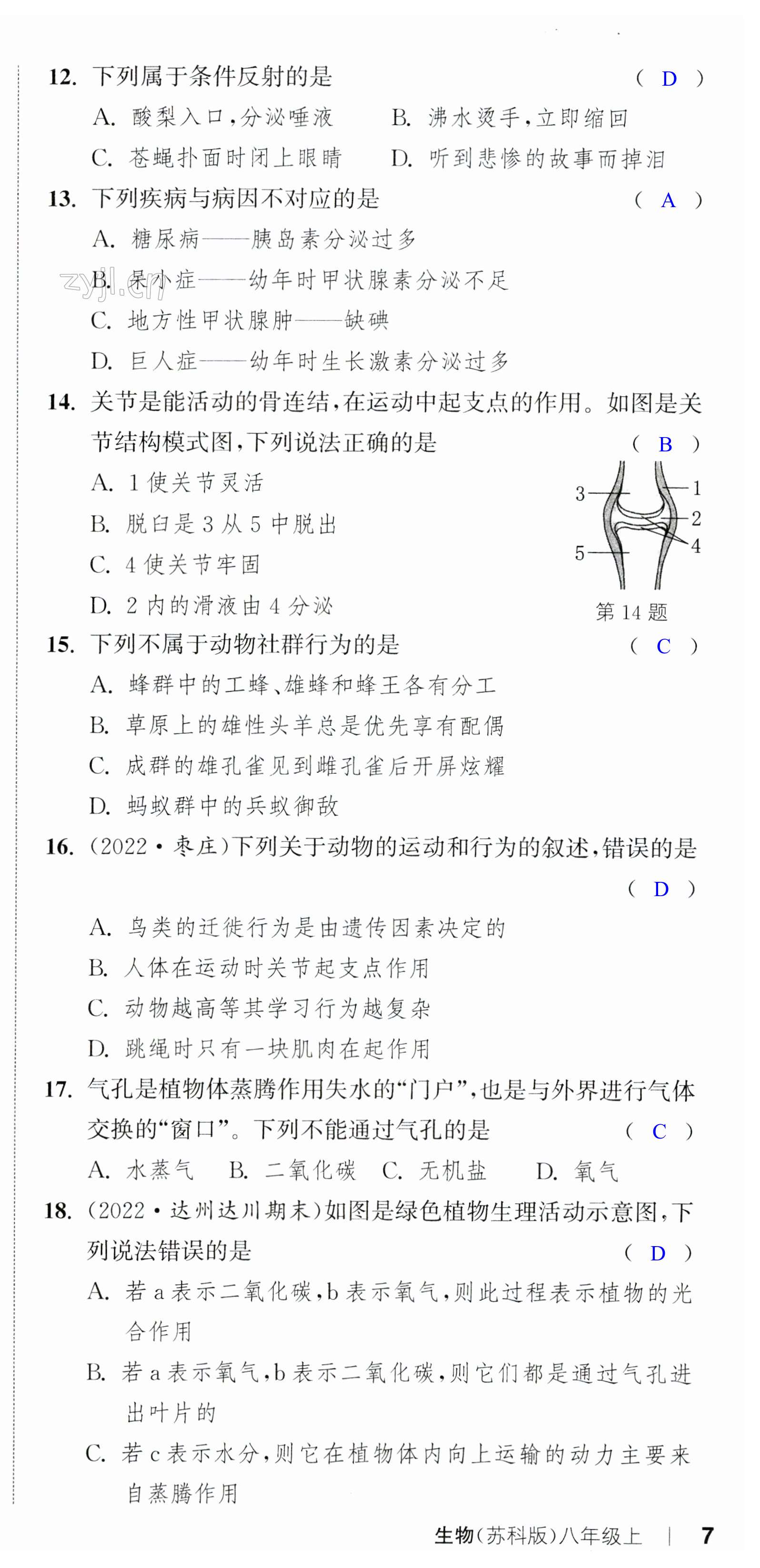 第21頁(yè)