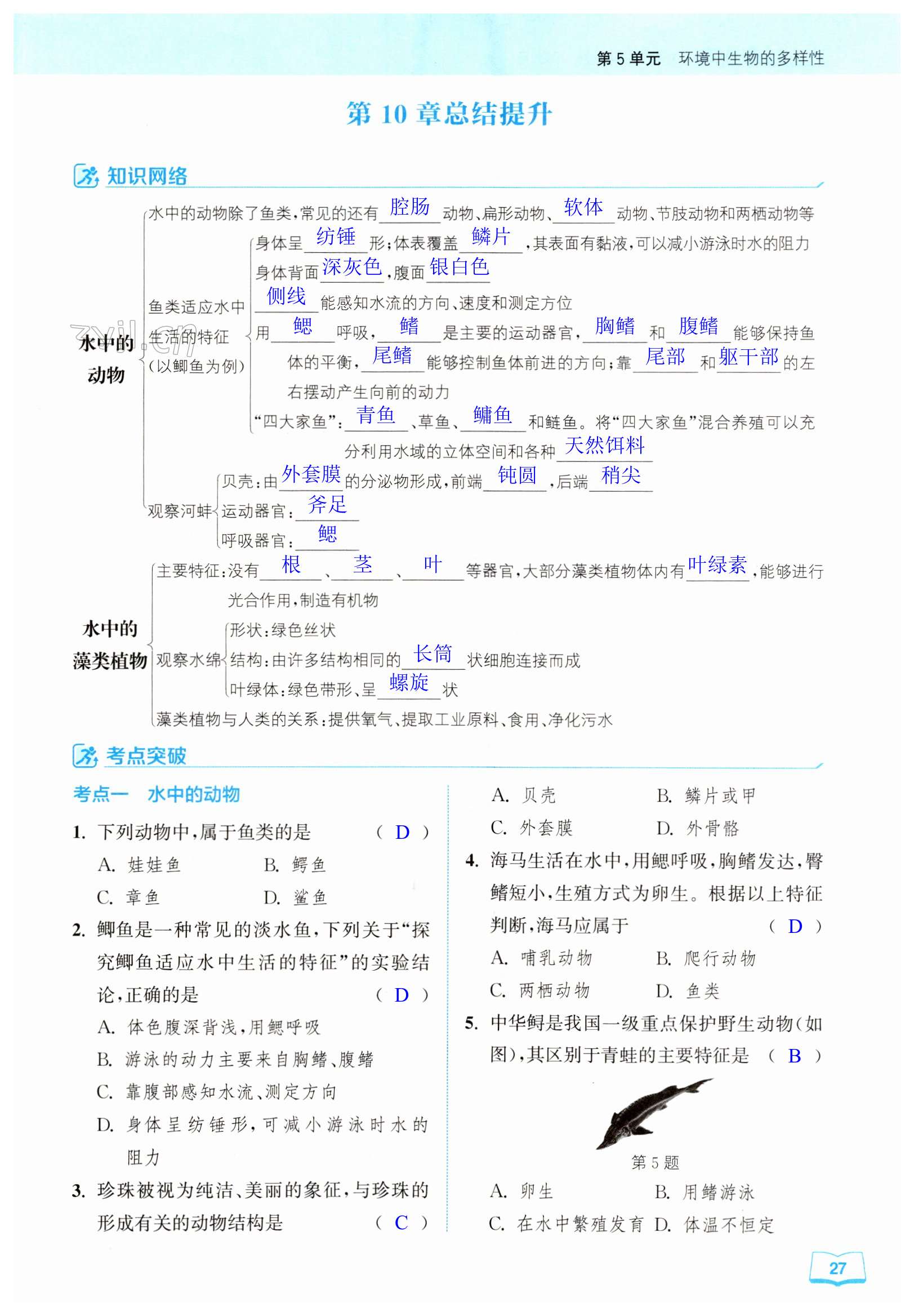 第27頁