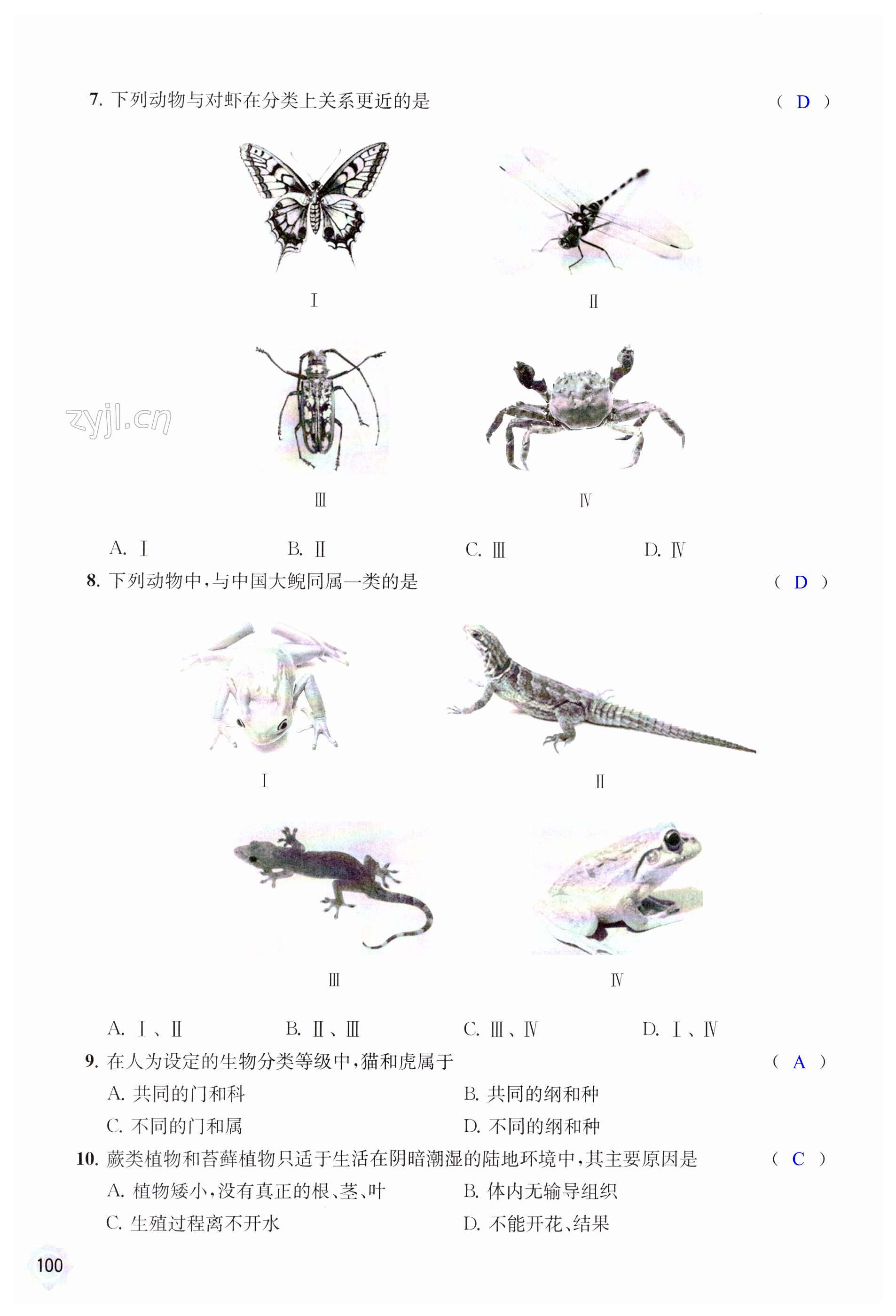 第100页