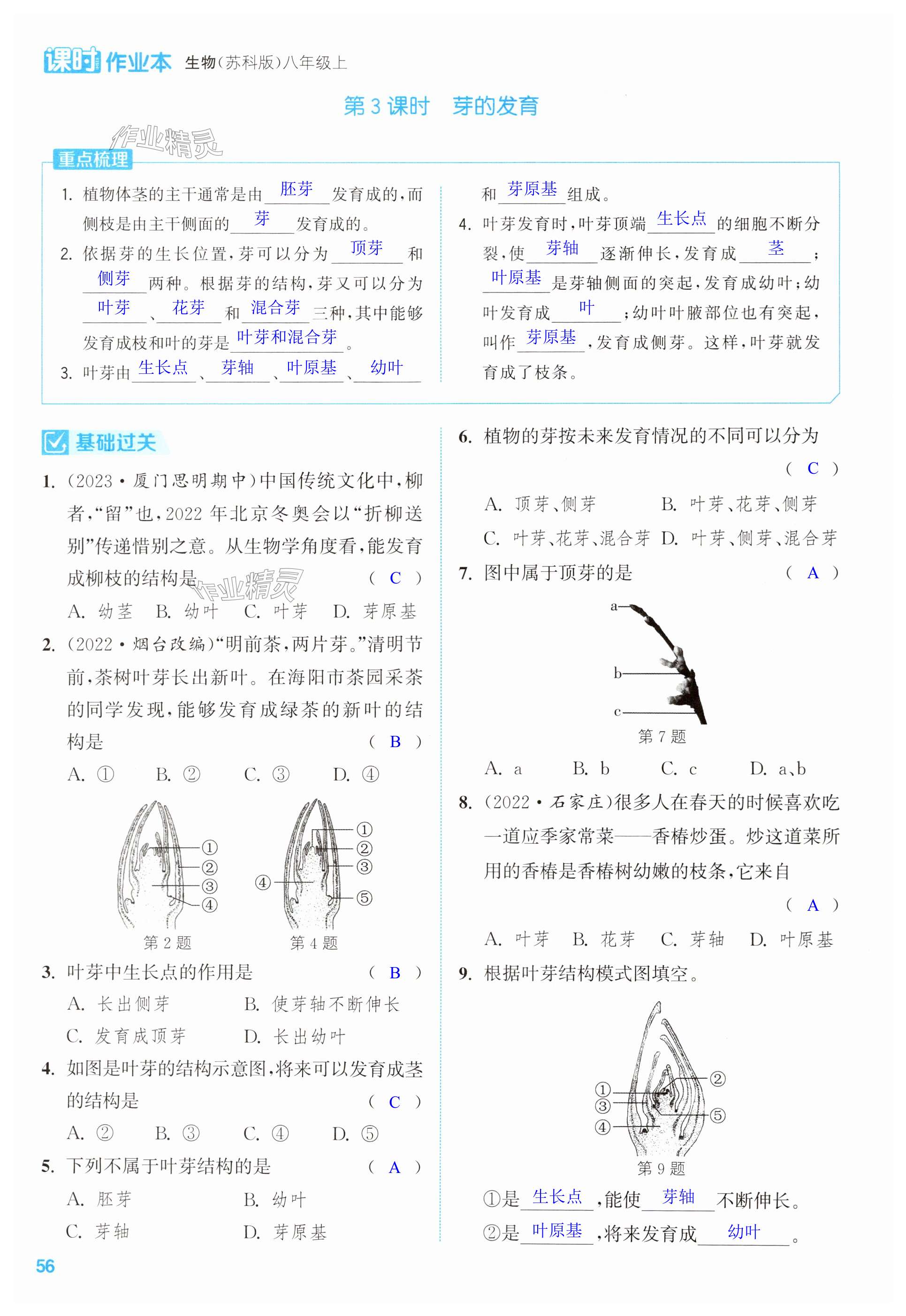 第56頁