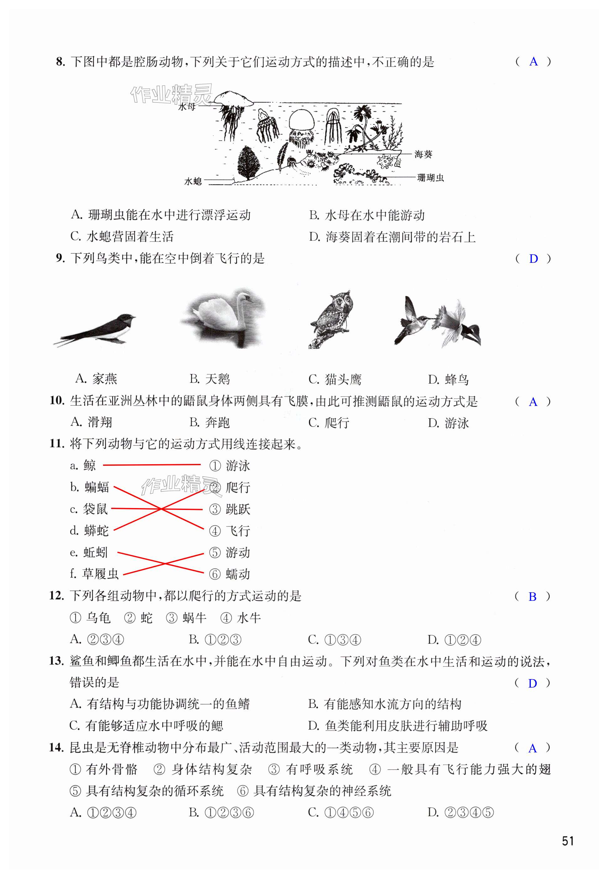 第51页