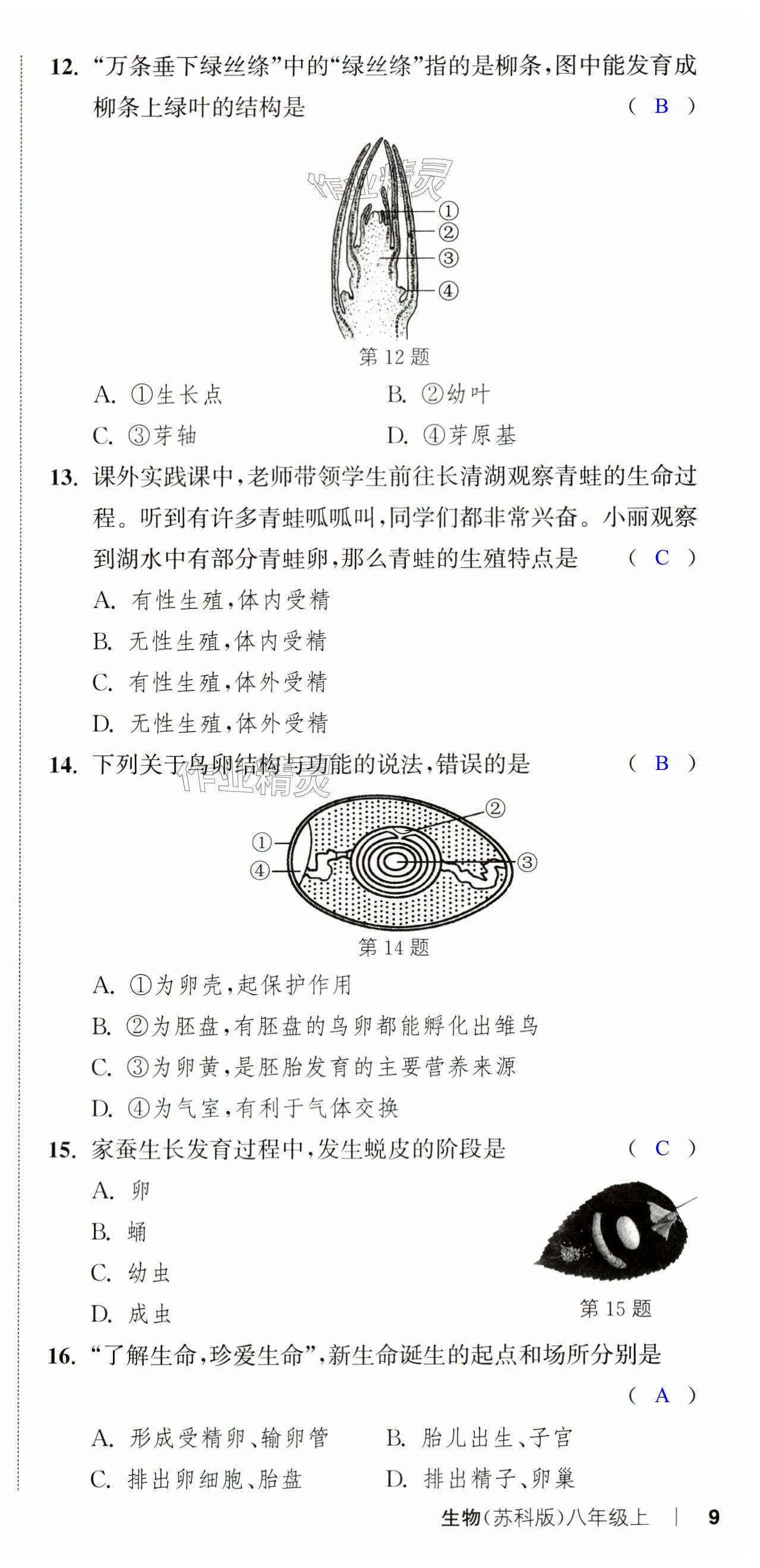 第27頁