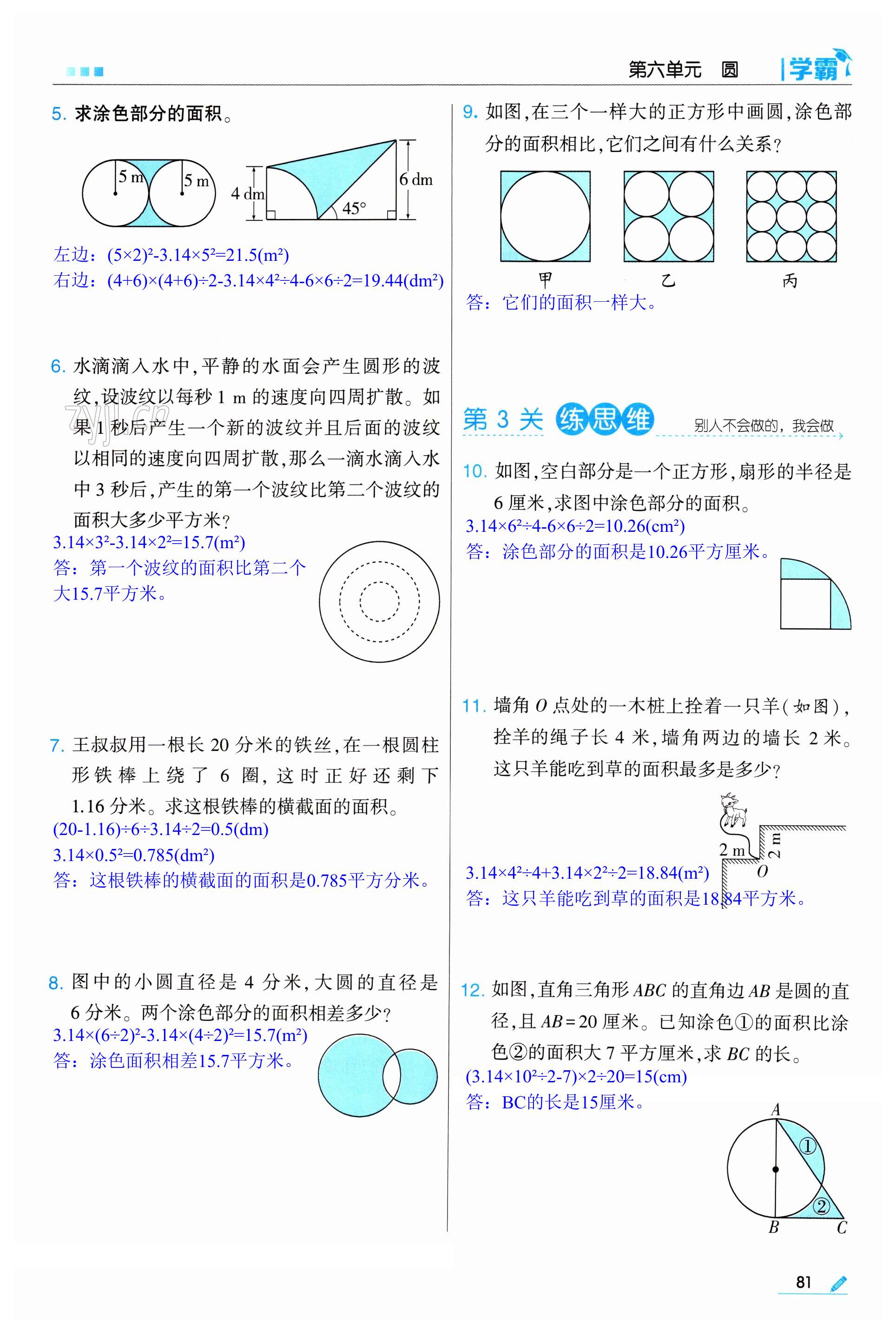 第81页