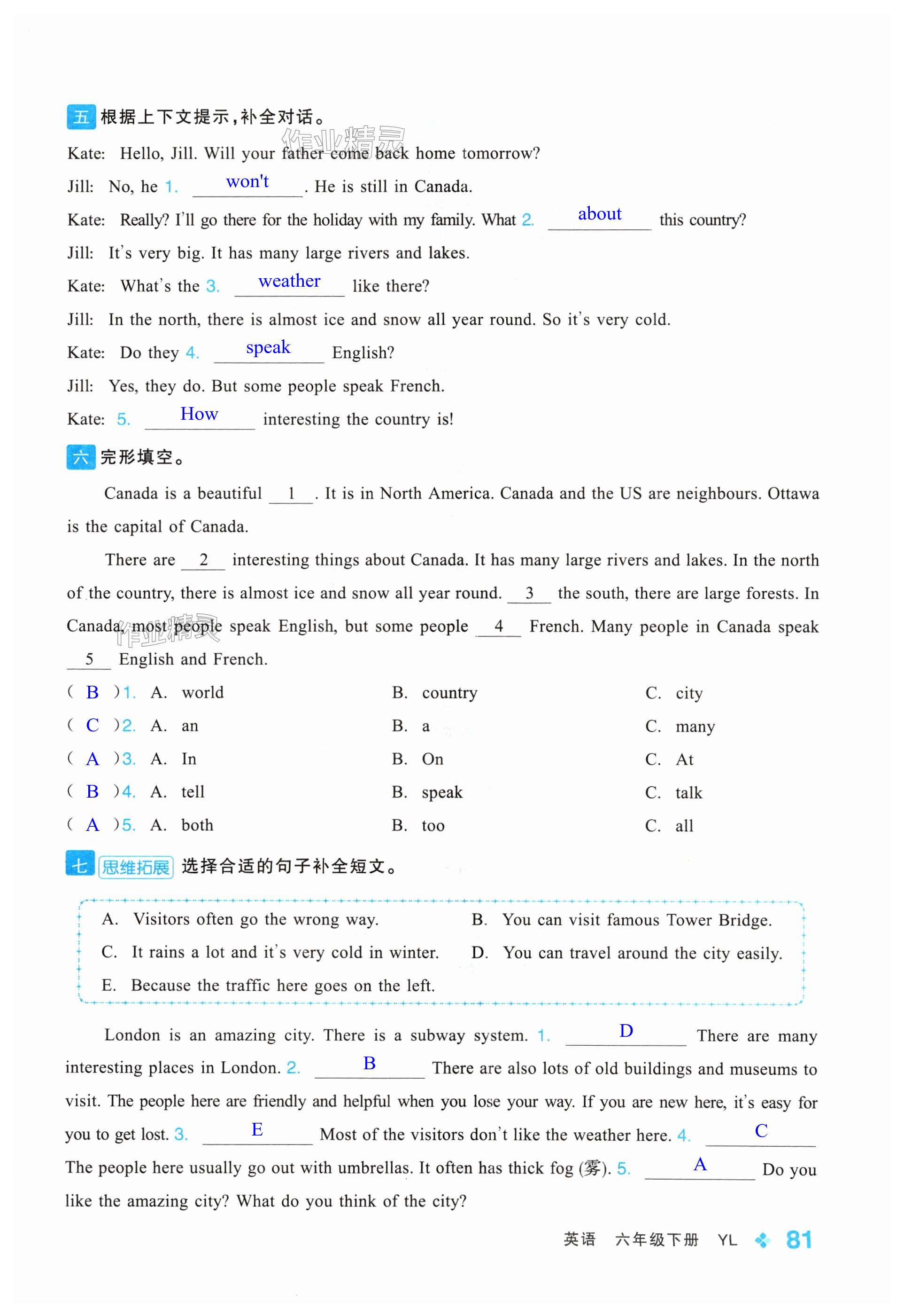 第81頁