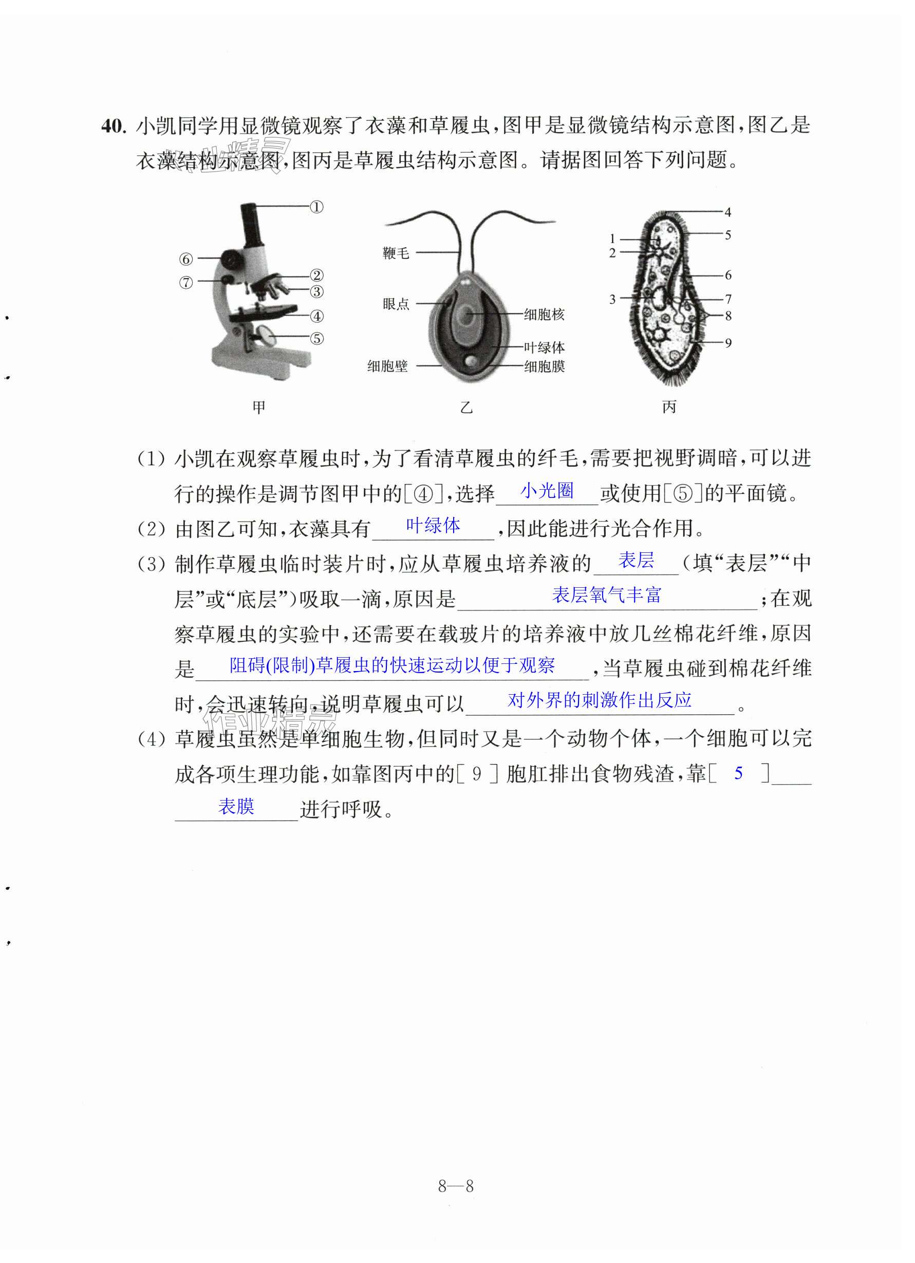 第64页